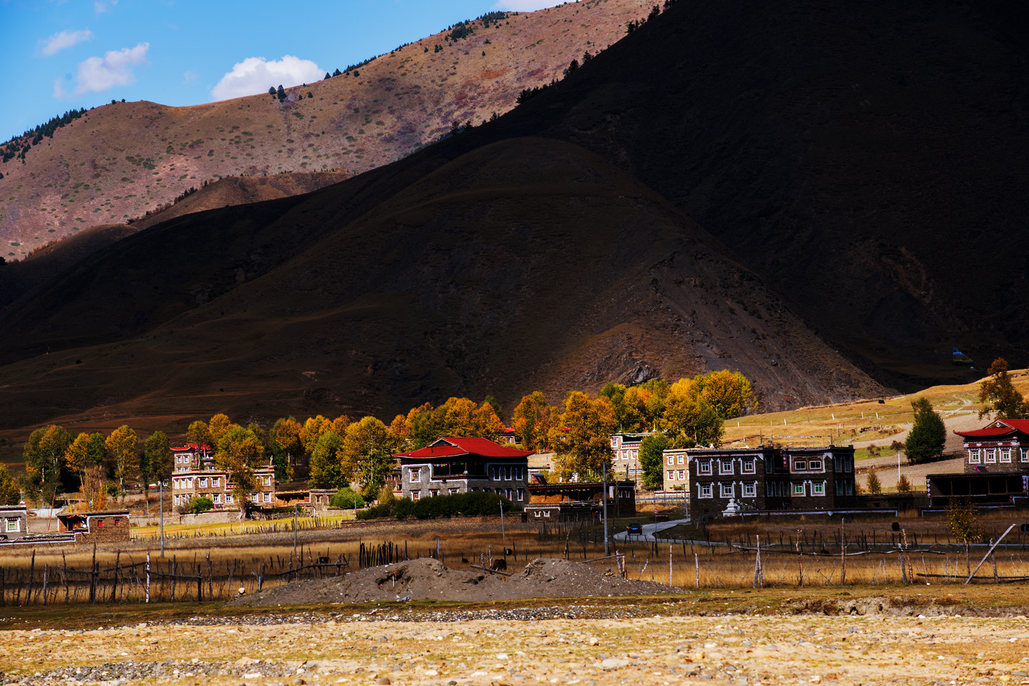 Nikon D810 sample photo