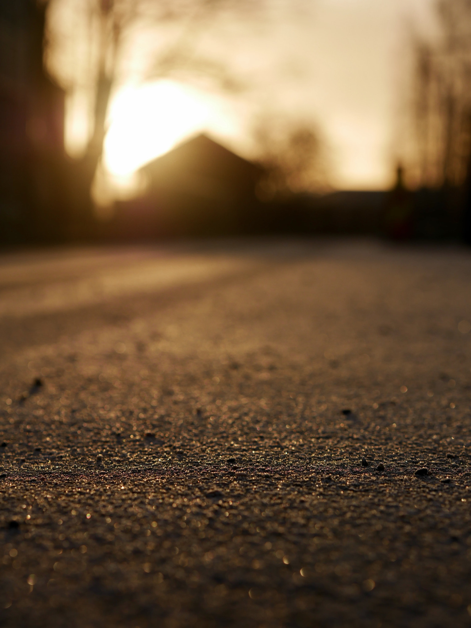 Olympus M.Zuiko Digital 45mm F1.8 sample photo. Nice sunday morning in norway photography