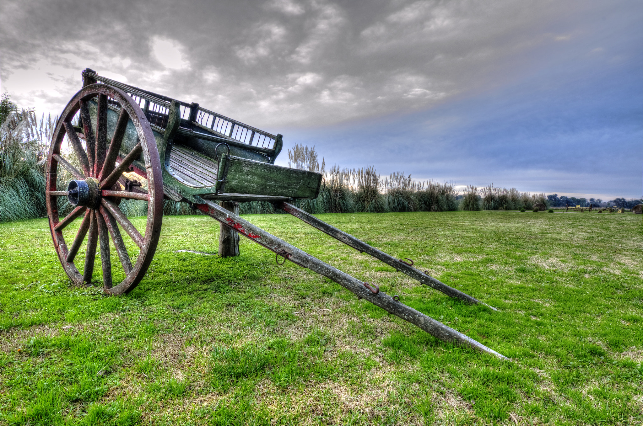 Nikon D7000 + Tokina AT-X 11-20 F2.8 PRO DX (AF 11-20mm f/2.8) sample photo. Old cart in pampa's land photography