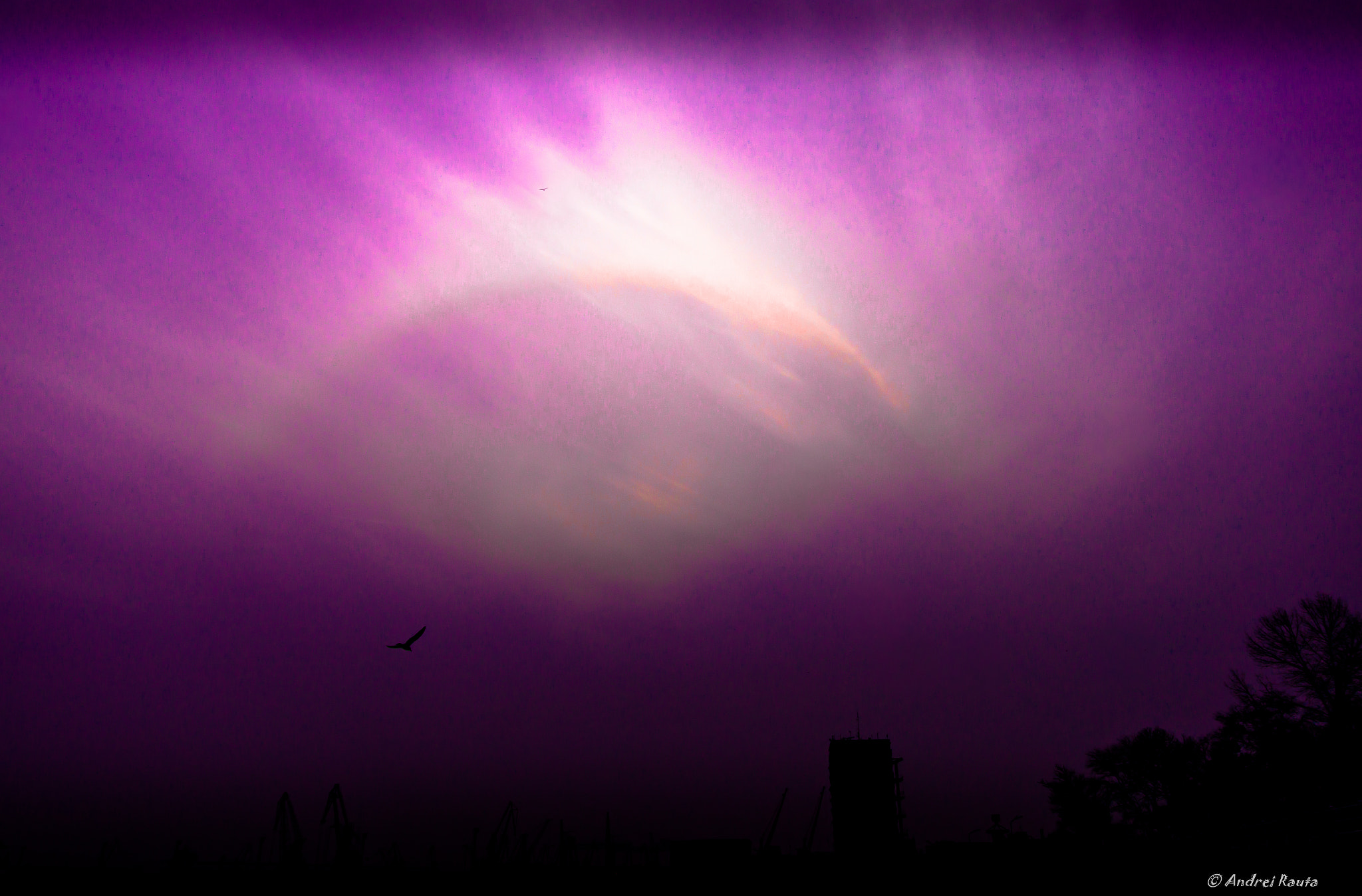 Tamron 18-270mm F3.5-6.3 Di II PZD sample photo. Purplesky photography