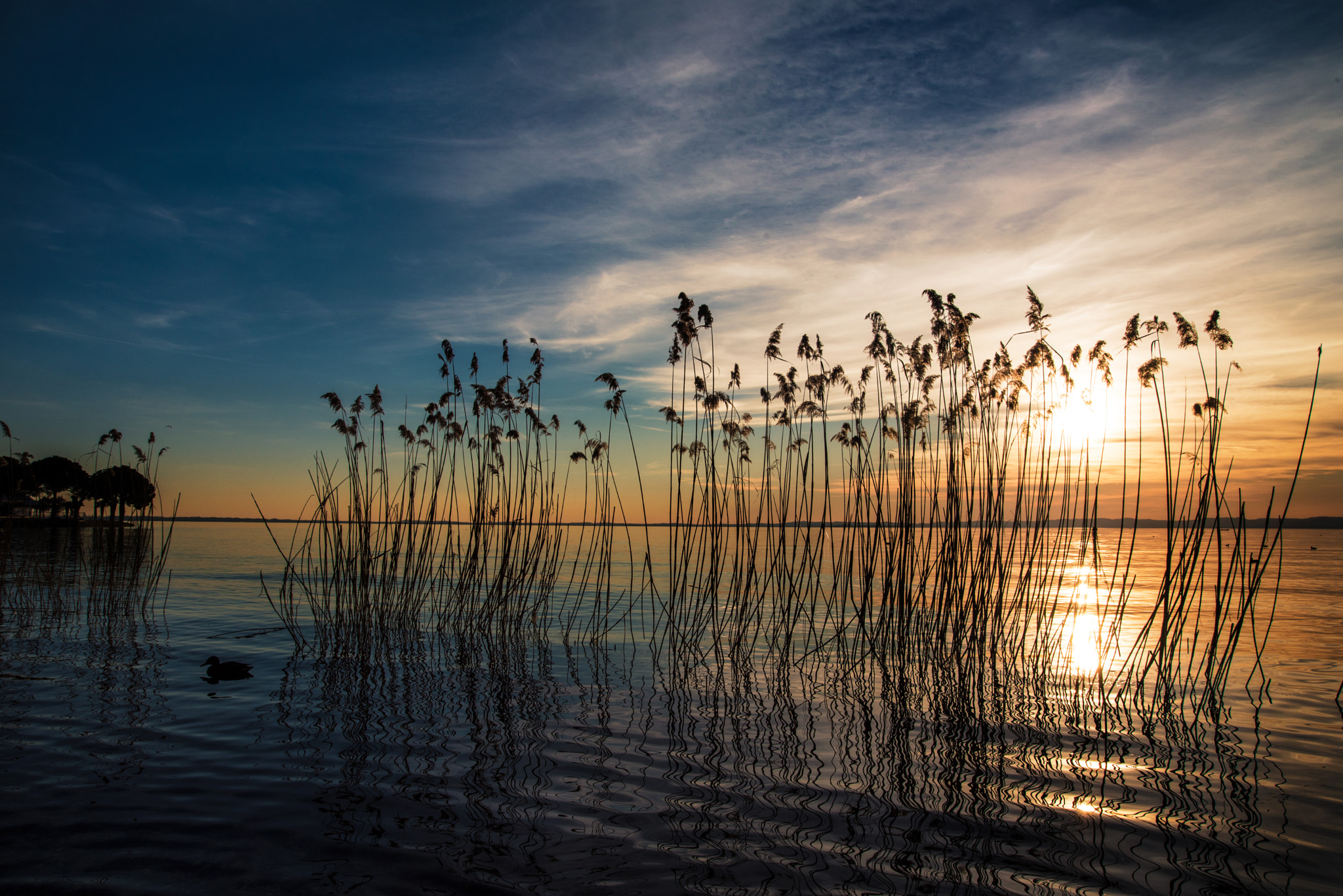 Nikon D750 sample photo. Bardolino beach photography