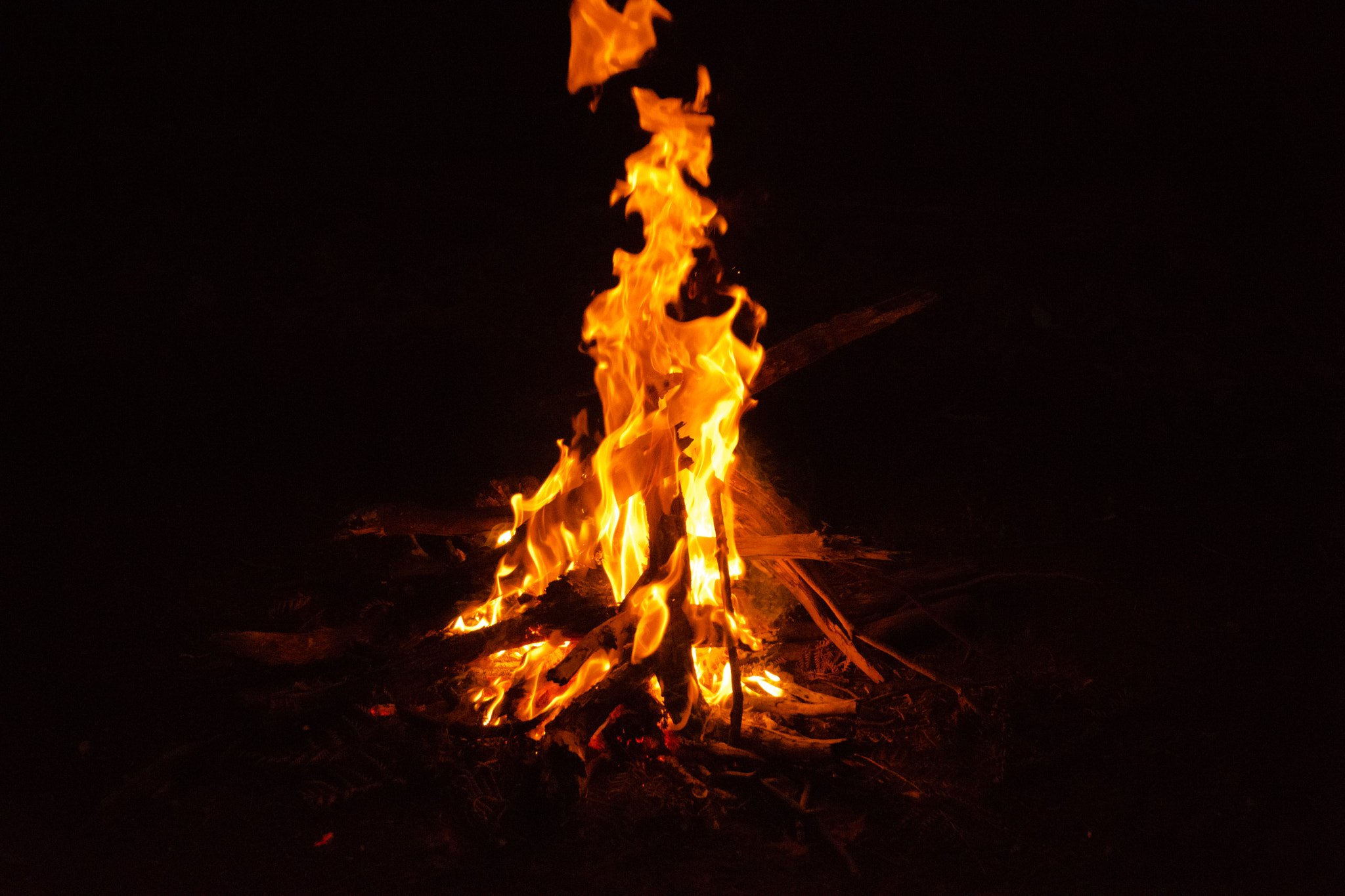 Nikon AF-S Nikkor 16-35mm F4G ED VR sample photo. Campfire photography