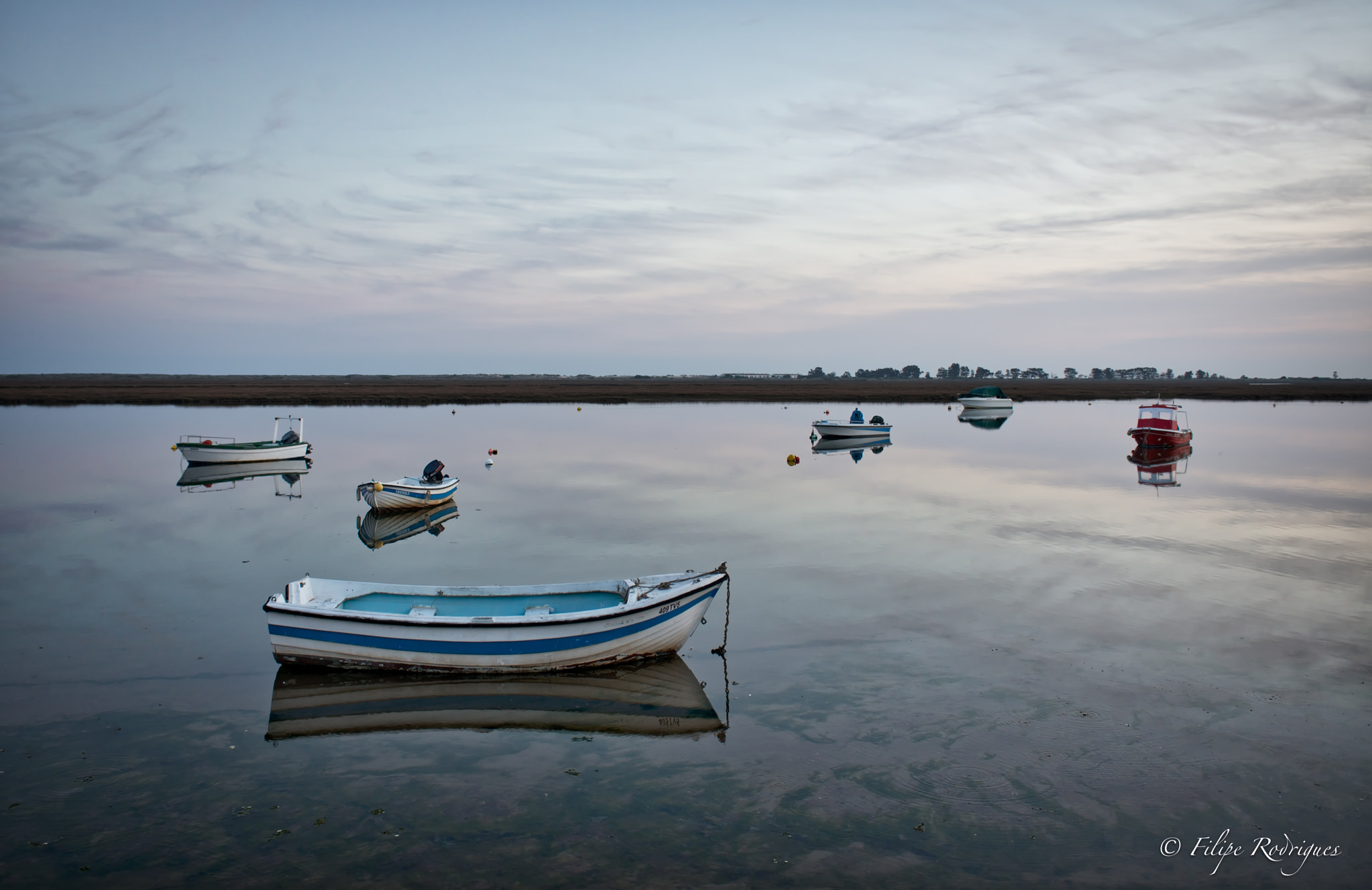 Nikon AF-S Nikkor 28-70mm F2.8 ED-IF sample photo. Algae photography