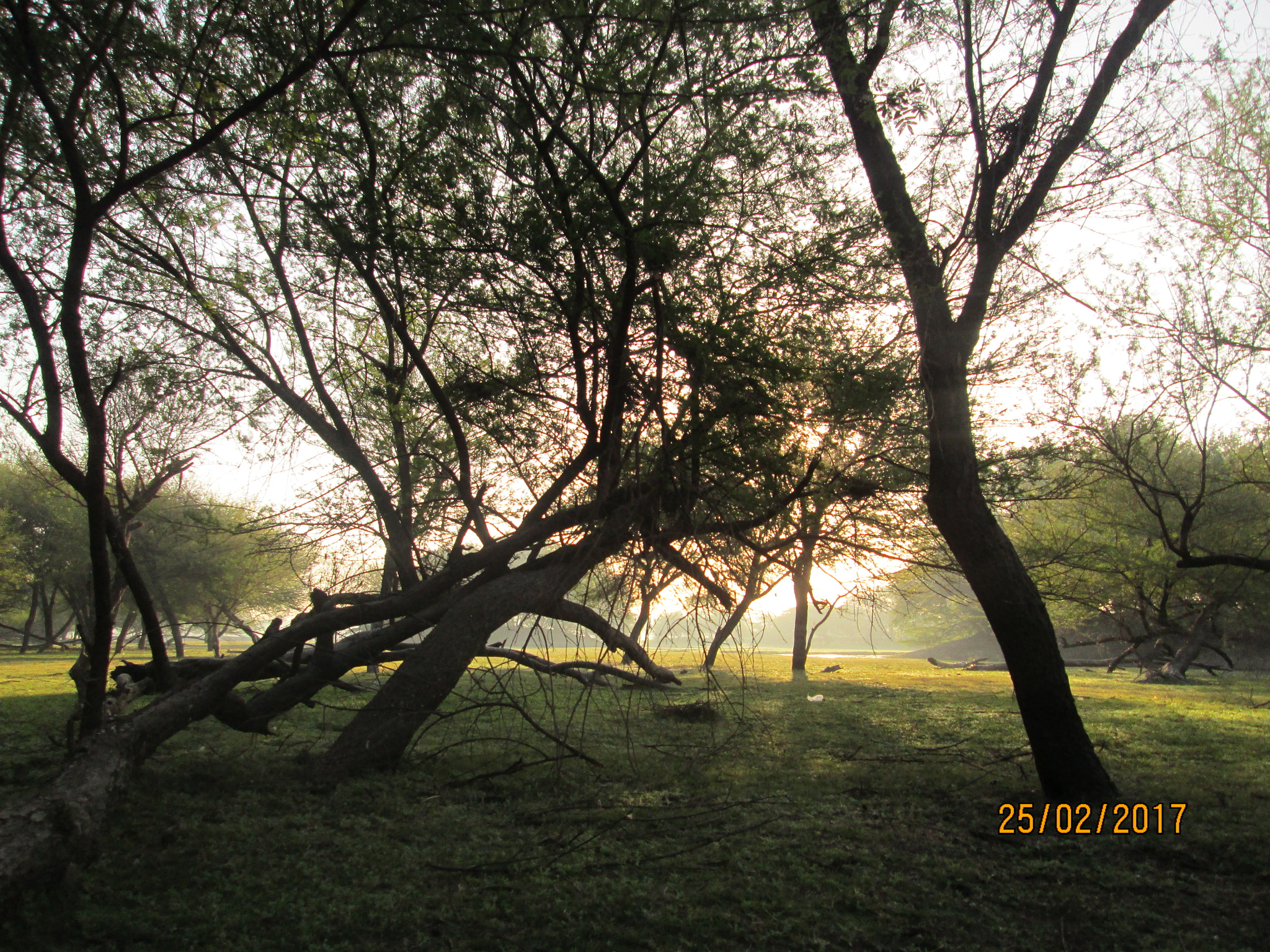 Canon PowerShot A2400 IS sample photo. Thol birds park.  photography