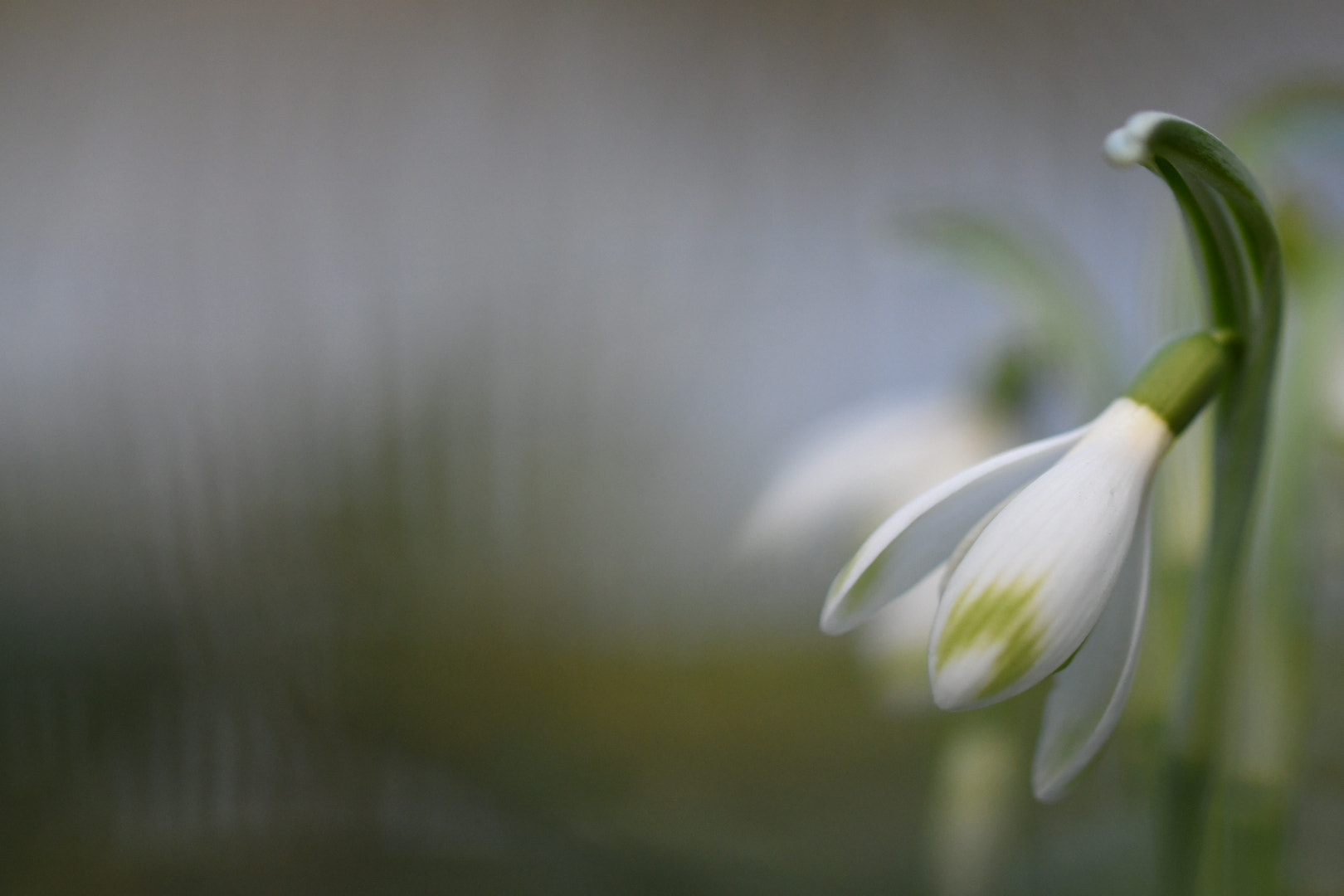 Sigma 105mm F2.8 EX DG OS HSM sample photo