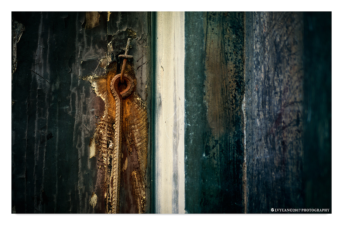 Nikon D800E sample photo