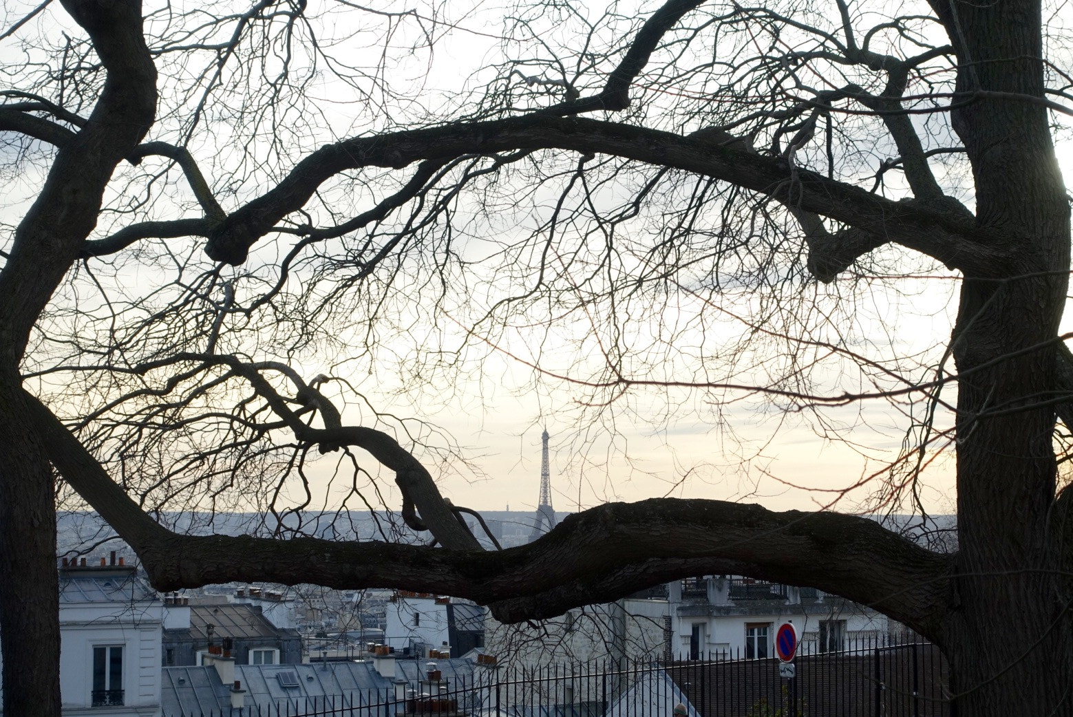 Sony Cyber-shot DSC-RX100 III + Sony 24-70mm F1.8-2.8 sample photo. Eiffel tower from montmartre photography