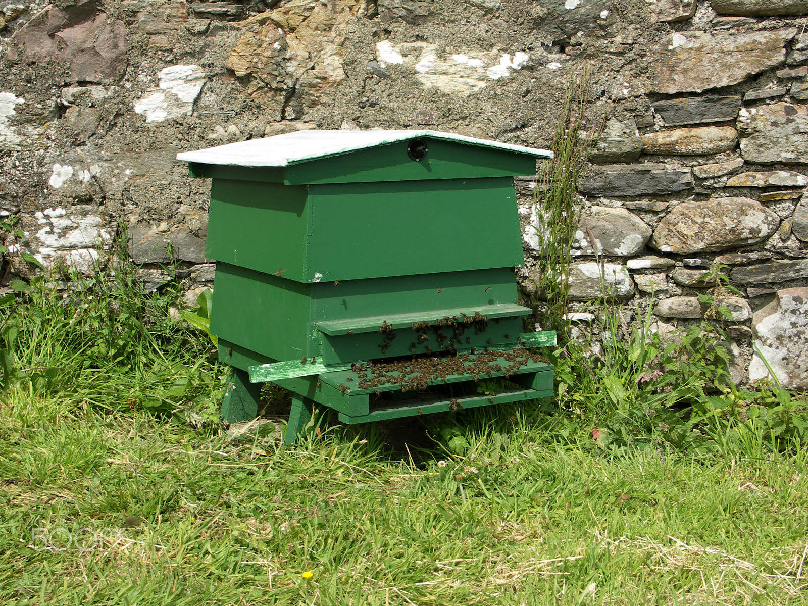 KONICA MINOLTA DiMAGE A200 sample photo. Bee hive photography