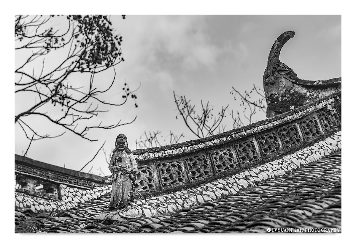 Nikon D800E sample photo