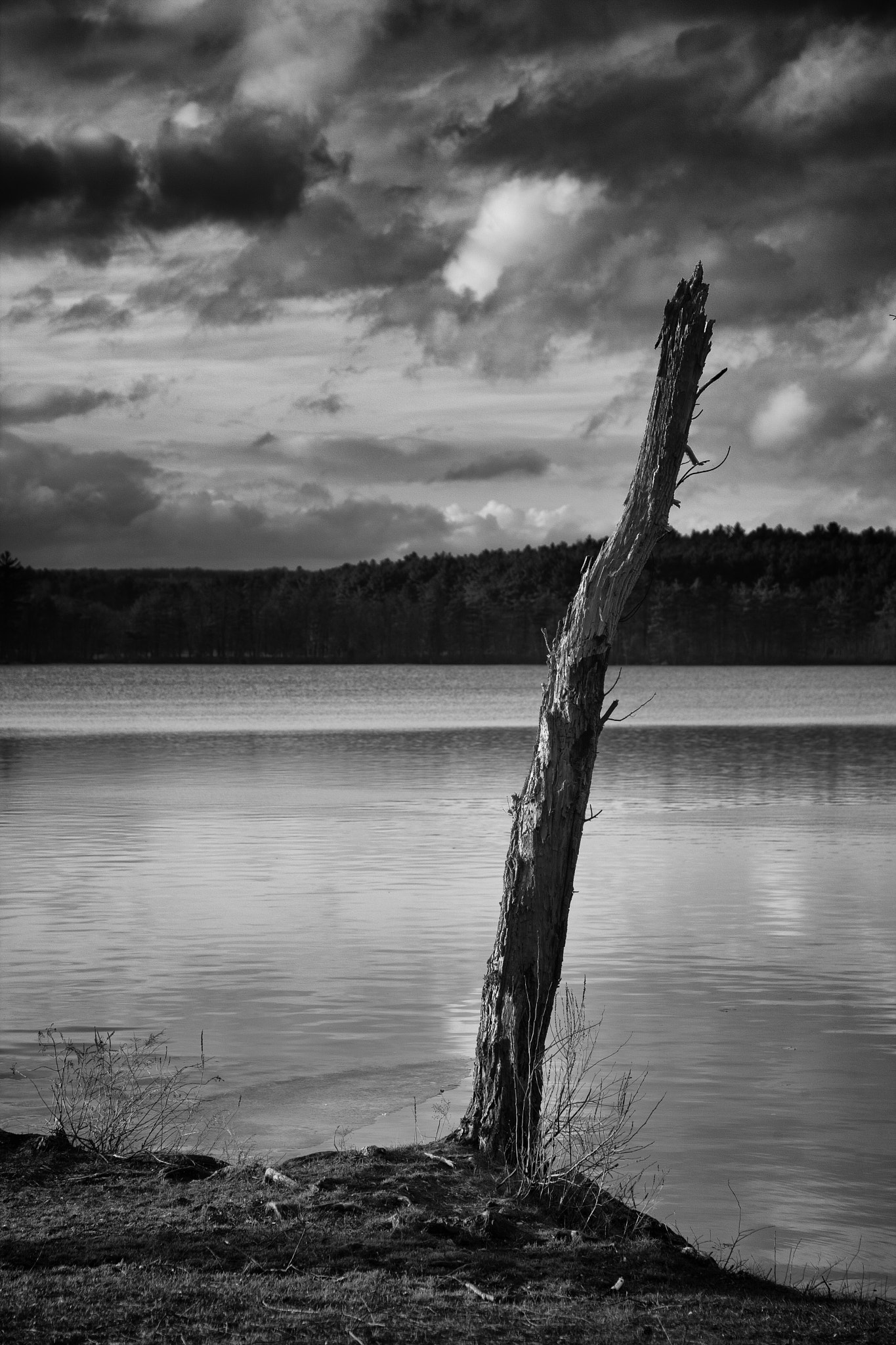 Canon EOS-1Ds Mark III sample photo. Haggett's pond photography