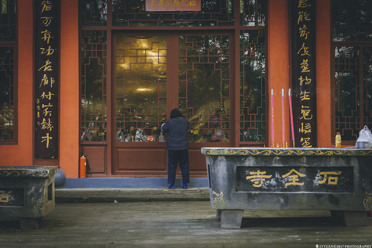 Nikon D800E sample photo