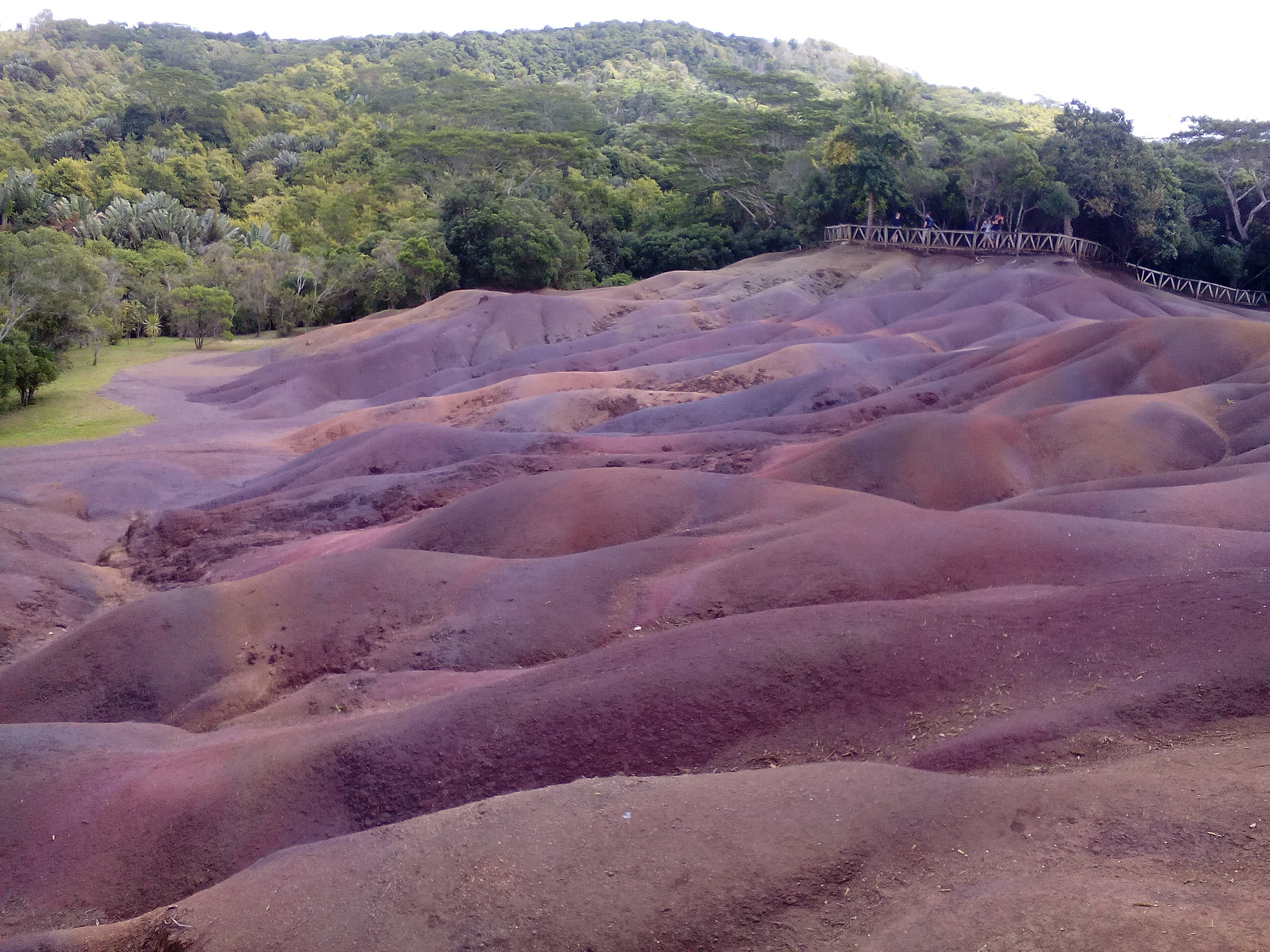 Lenovo A5500-H sample photo. Seven coloured earth,chamarel,mauritius photography