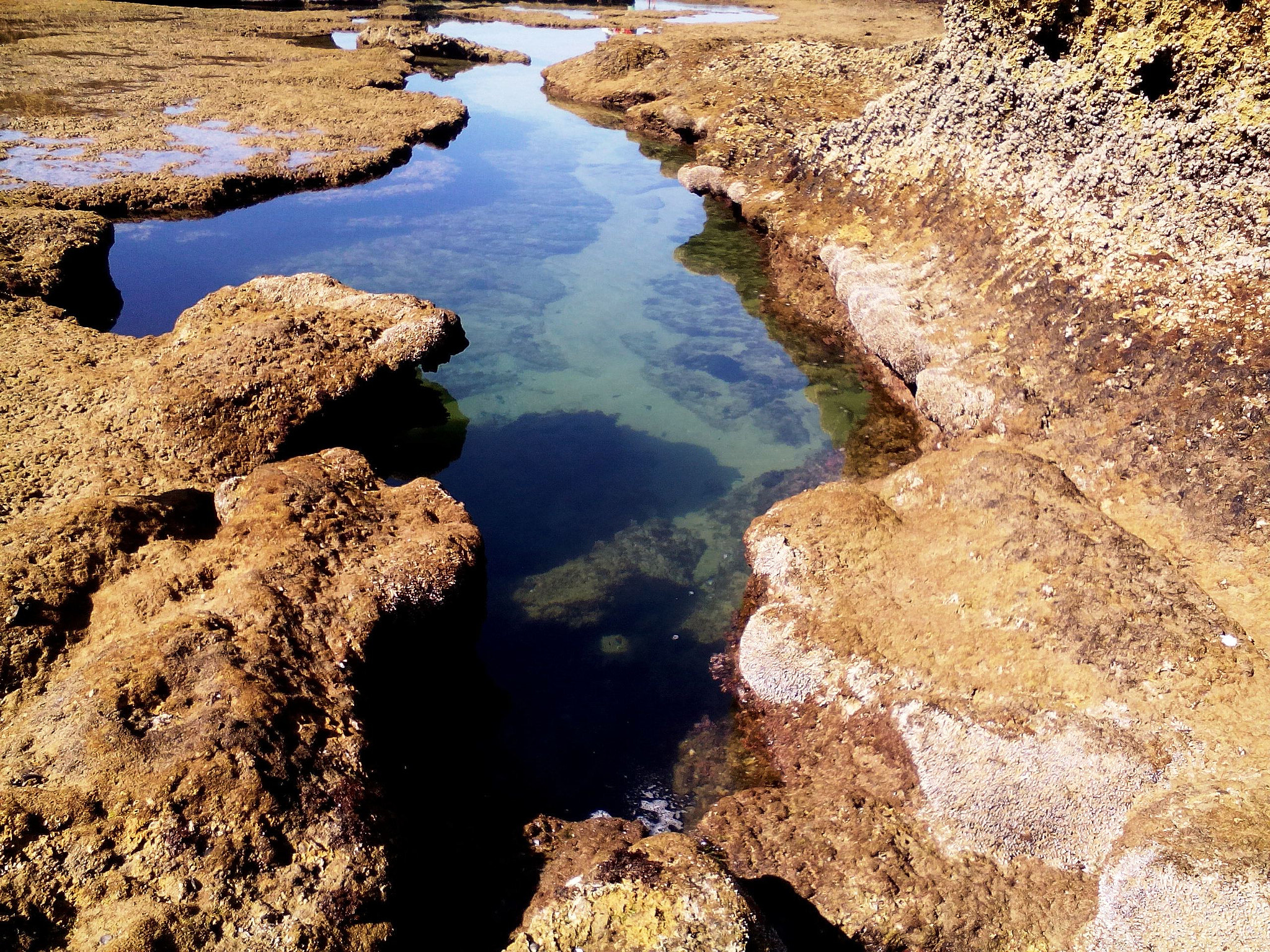 Lenovo A5500-H sample photo. Gerickes point,south africa photography