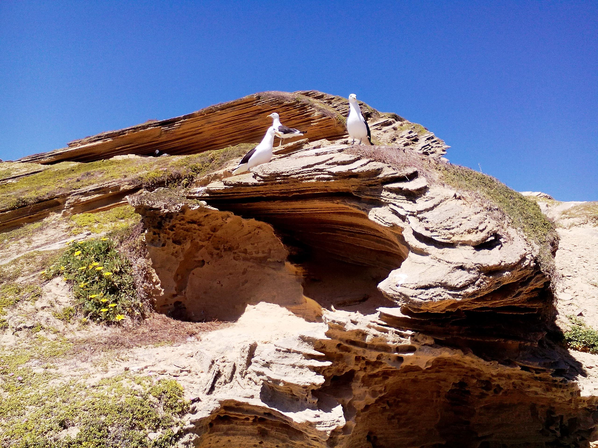 Lenovo A5500-H sample photo. Gerickes point,south africa photography