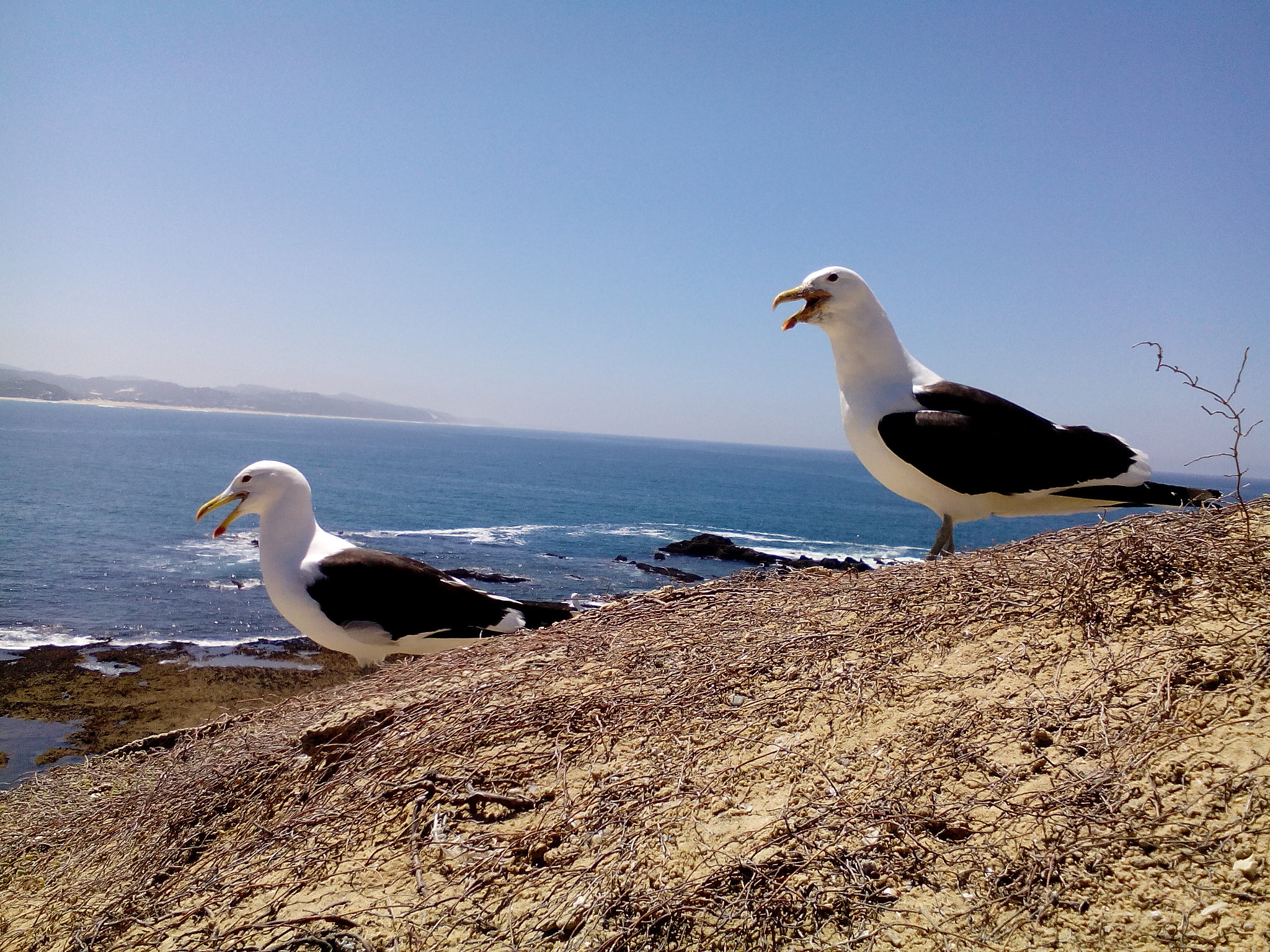 Lenovo A5500-H sample photo. Gerickes point,south africa photography