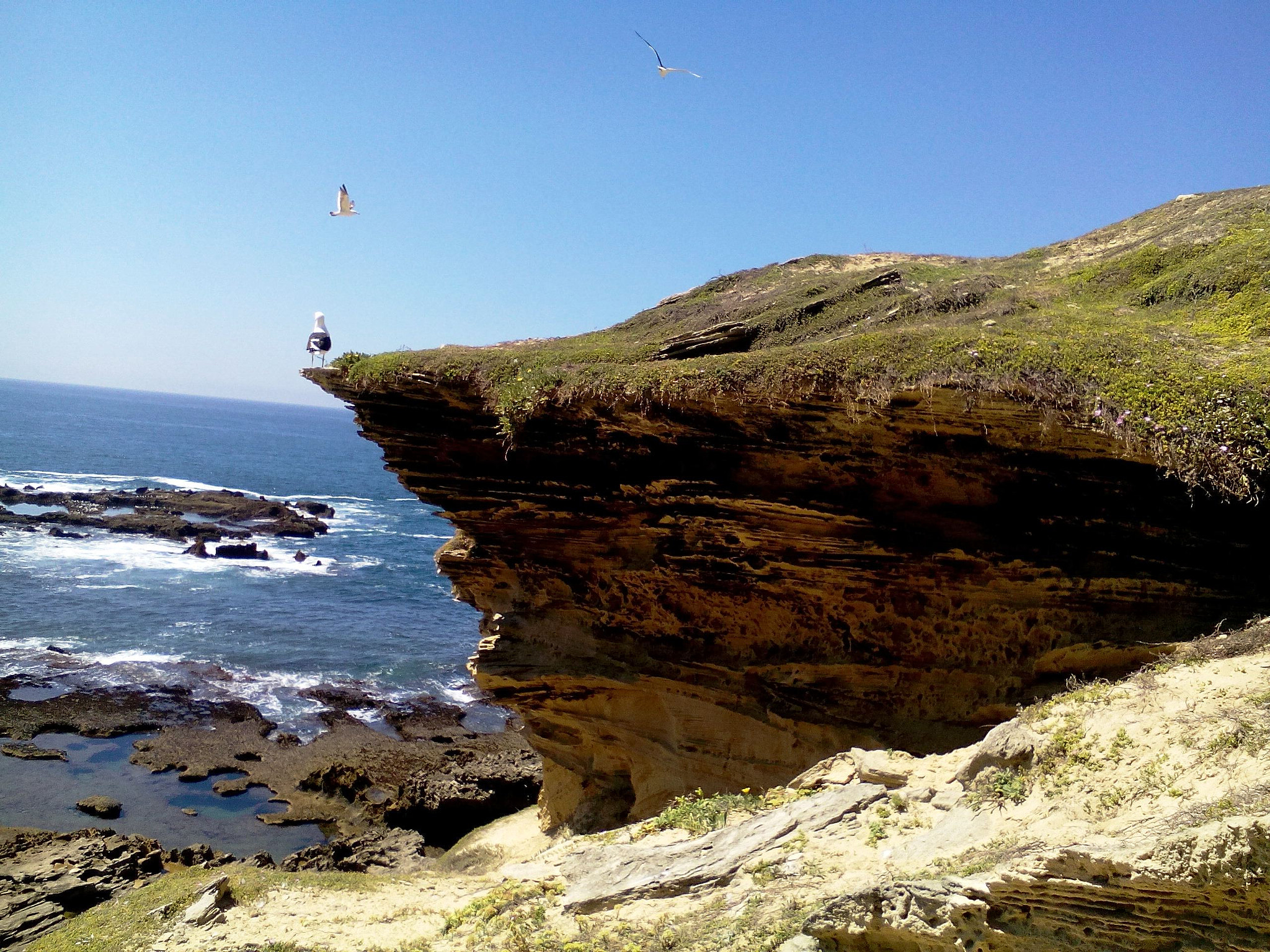 Lenovo A5500-H sample photo. Gerickes point,south africa photography