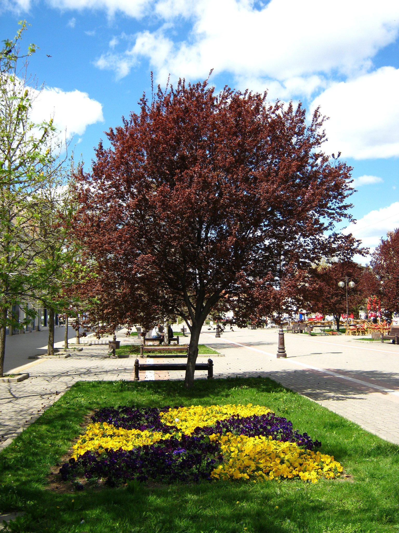 Canon PowerShot A495 sample photo. Public promenade photography