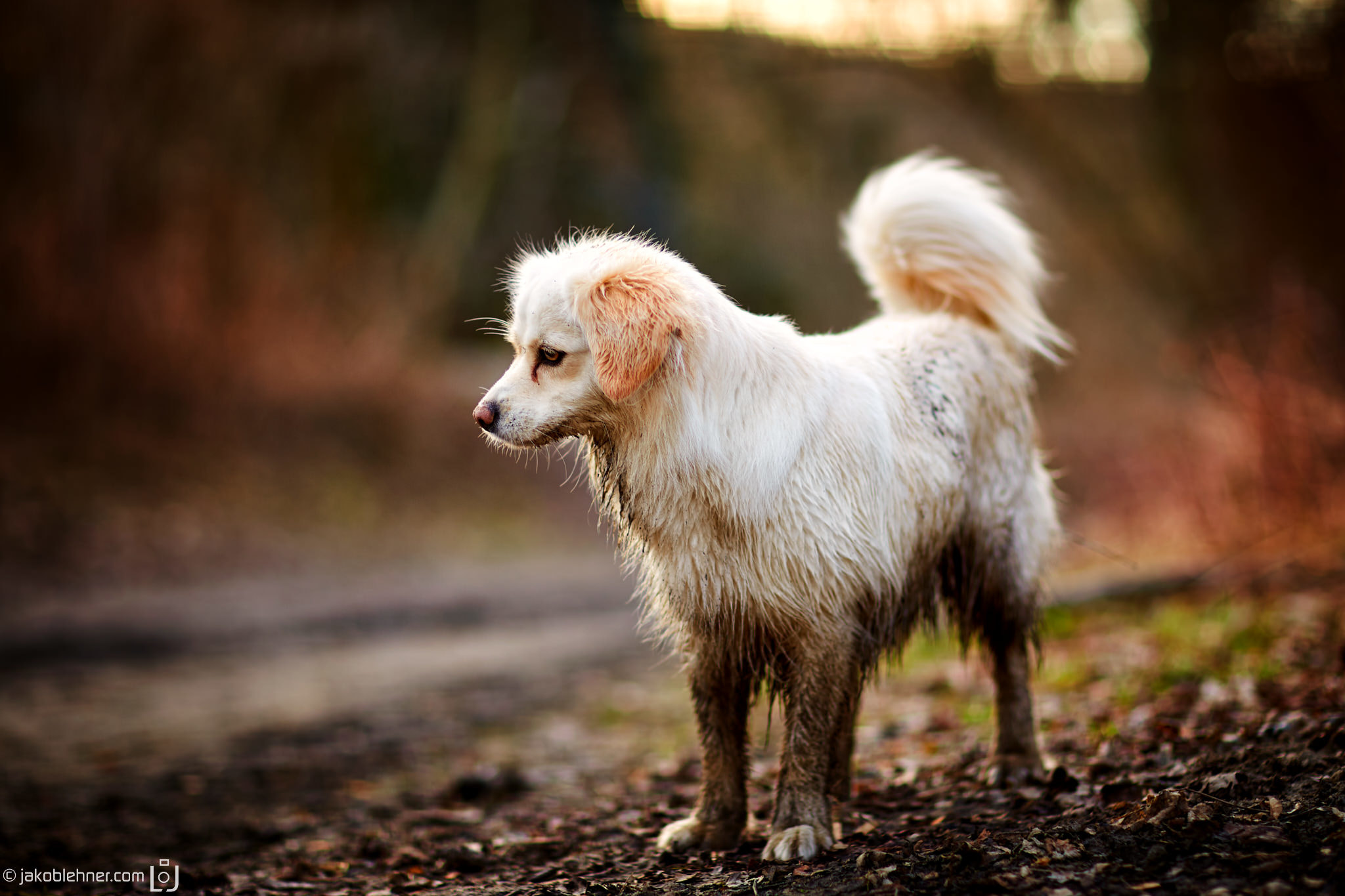 Canon EF 85mm F1.2L II USM sample photo. Molly shows off her new brown pants :d photography