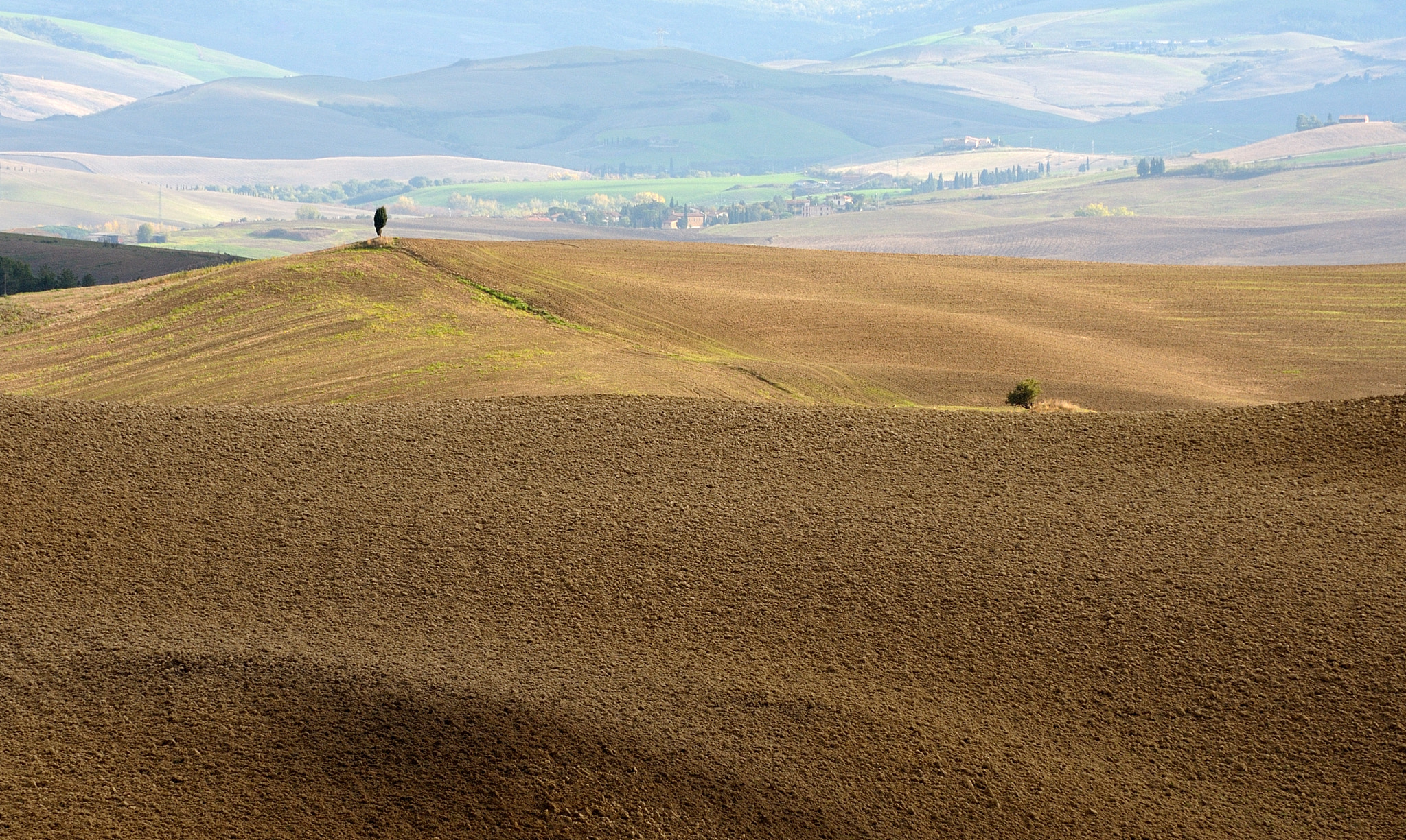 Nikon D700 sample photo. Autumn and toscana photography