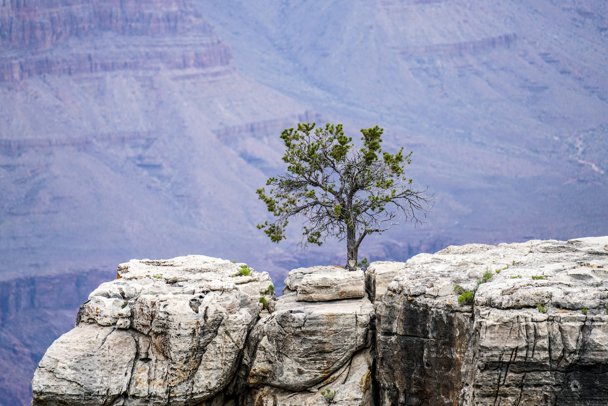 Sony a7R II + Sony FE 70-300mm F4.5-5.6 G OSS sample photo. Grand canyon photography