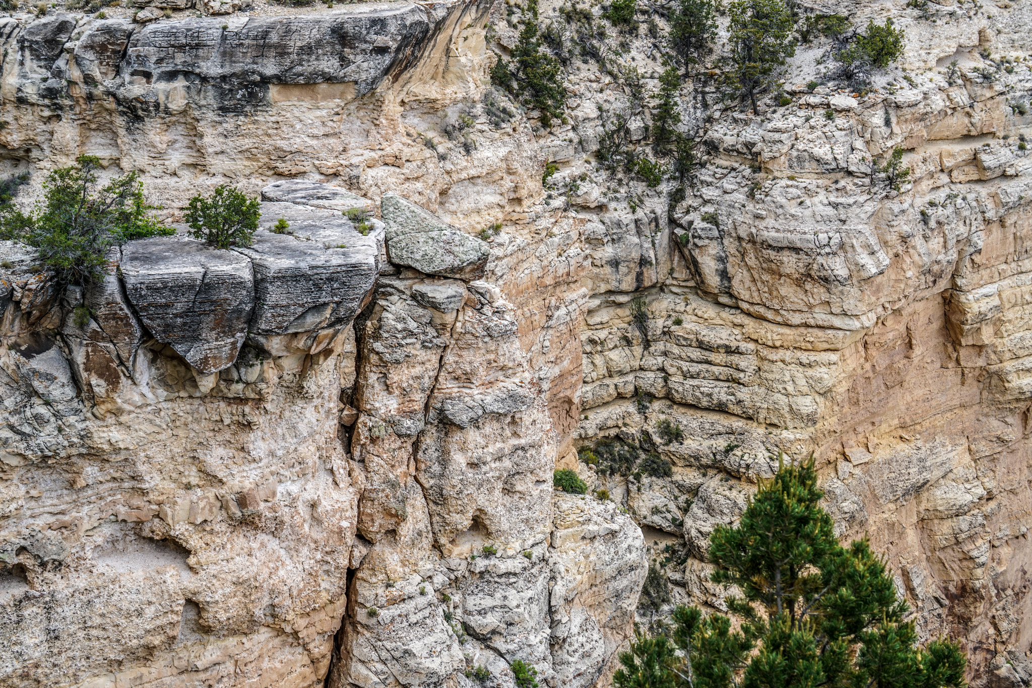 Sony a7R II + Sony FE 70-300mm F4.5-5.6 G OSS sample photo. Grand canyon photography