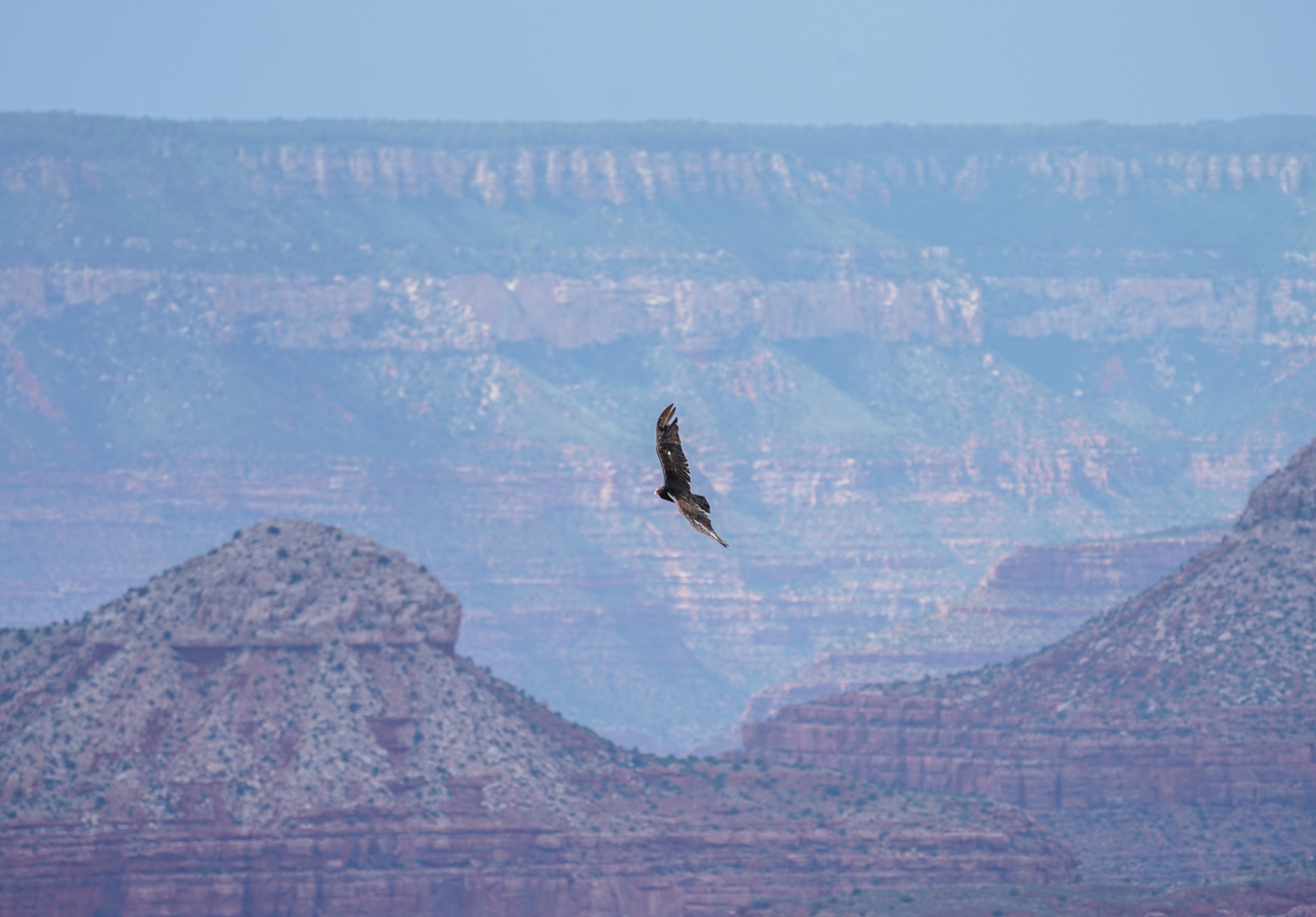 Sony FE 70-300mm F4.5-5.6 G OSS sample photo. Grand canyon photography