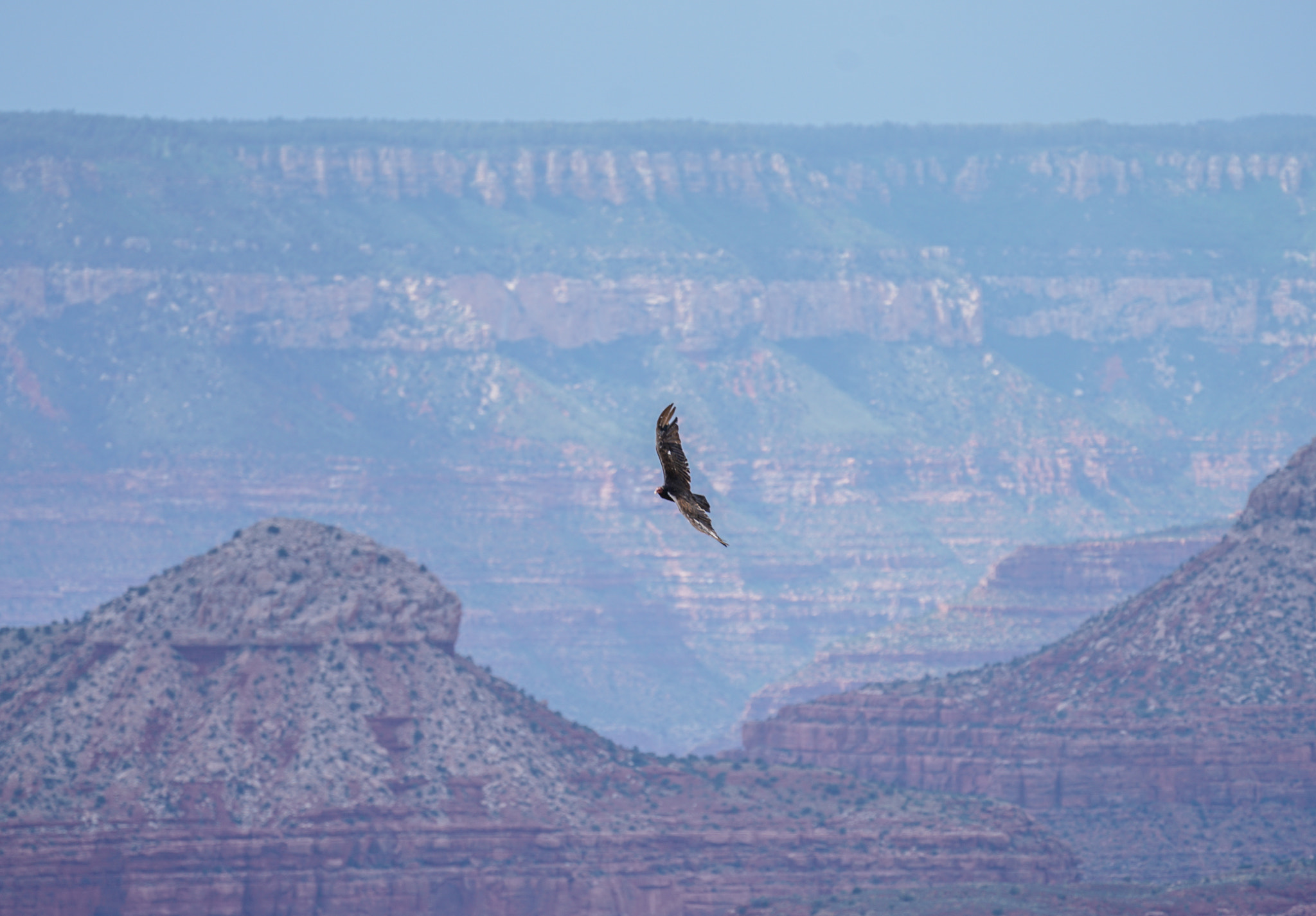 Sony a7R II + Sony FE 70-300mm F4.5-5.6 G OSS sample photo. Grand canyon photography