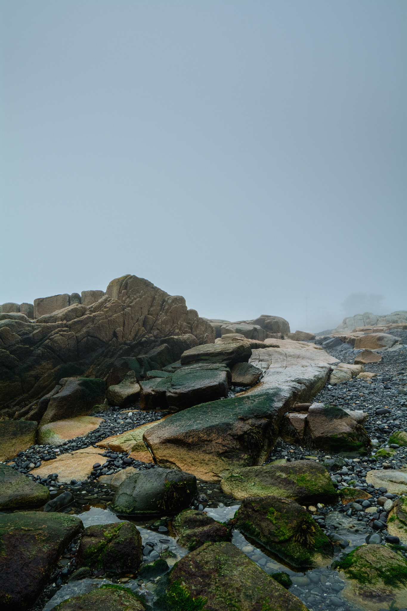 Samyang 14mm F2.8 ED AS IF UMC sample photo. Green + fog photography