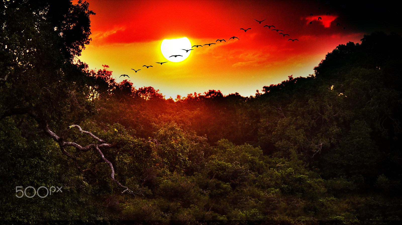 Sigma 150-500mm F5-6.3 DG OS HSM sample photo. Beautiful sunset - sri lanka photography