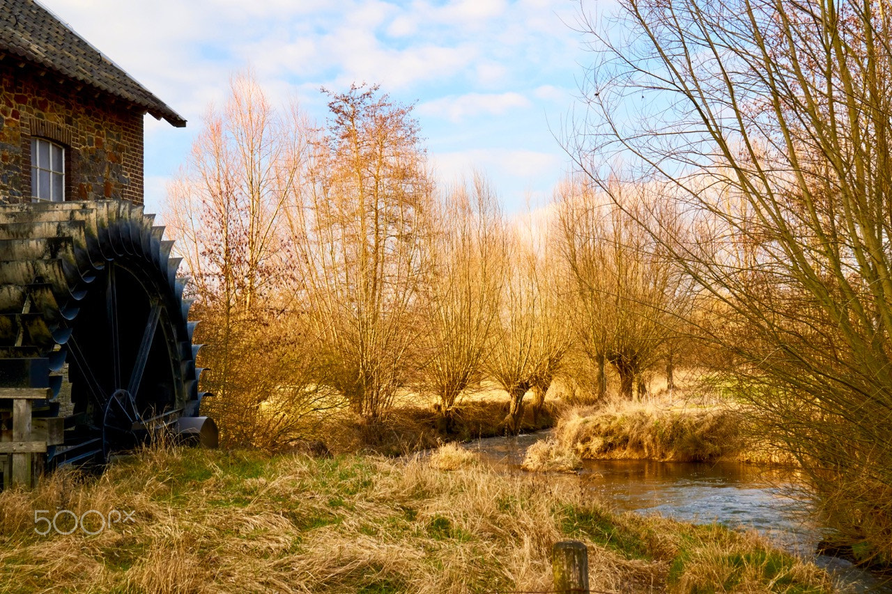 Sony E 35mm F1.8 OSS sample photo. Volmolen photography