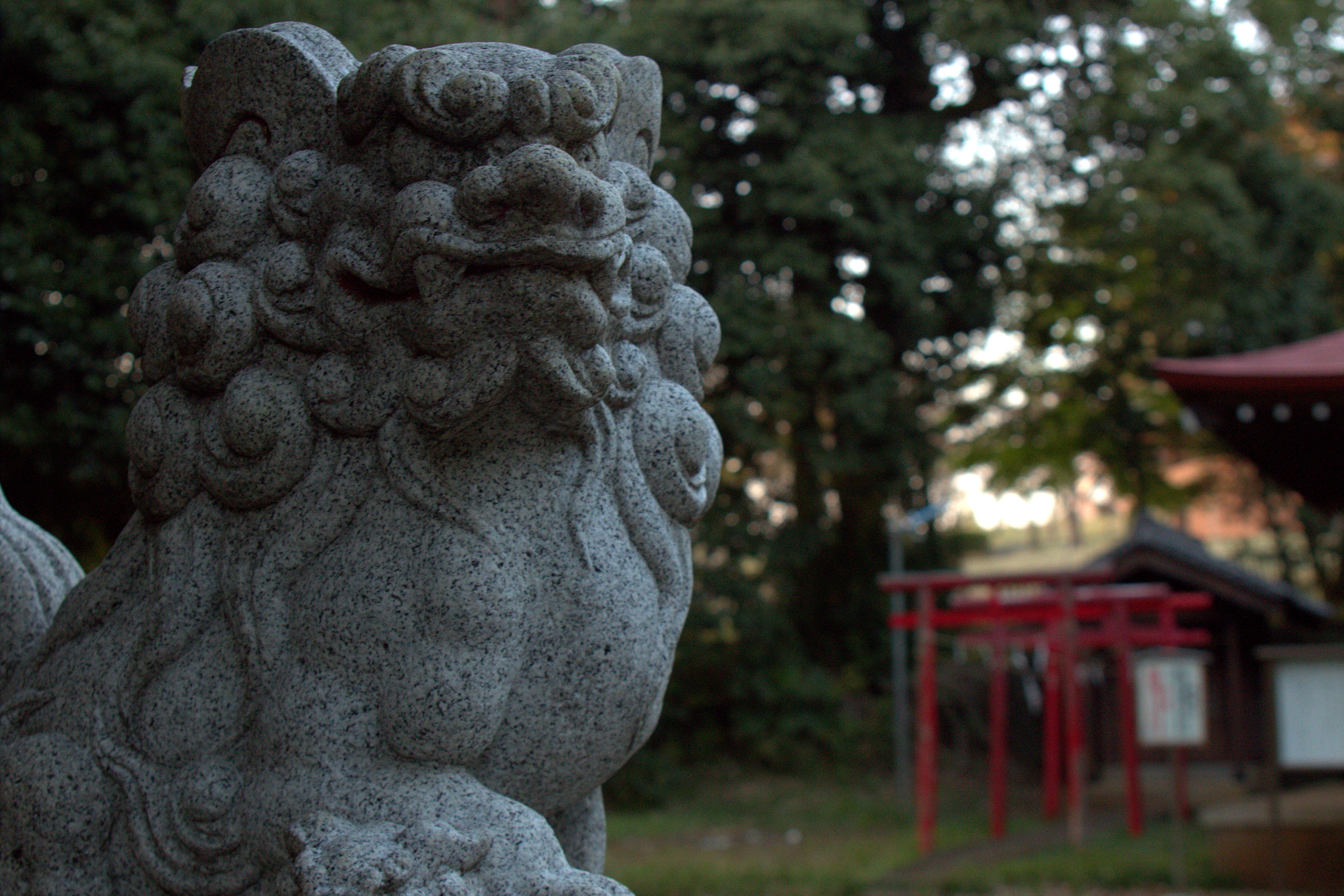 Canon EF 28-105mm f/3.5-4.5 USM sample photo. Sunset in western tokyo photography
