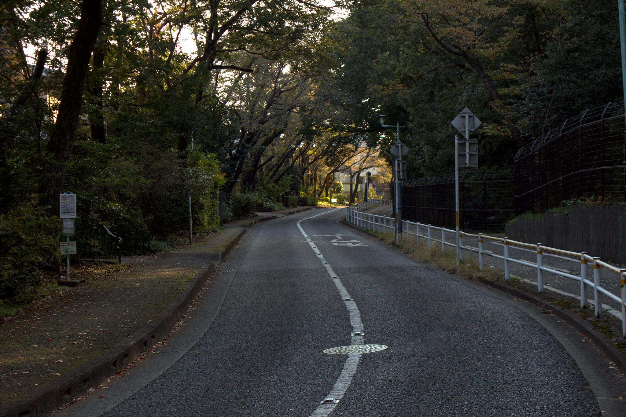 Canon EF 28-105mm f/3.5-4.5 USM sample photo. Sunset in western tokyo photography