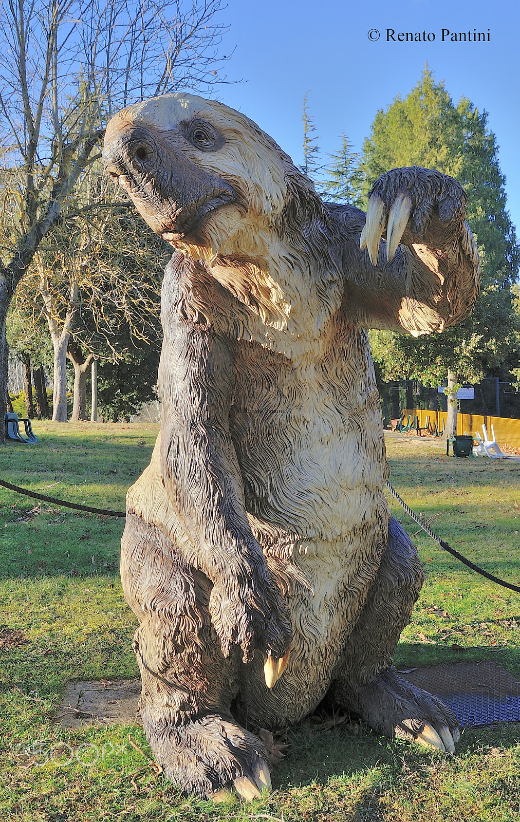 Nikon D300S sample photo. Megalonyx jeffersonii. photography
