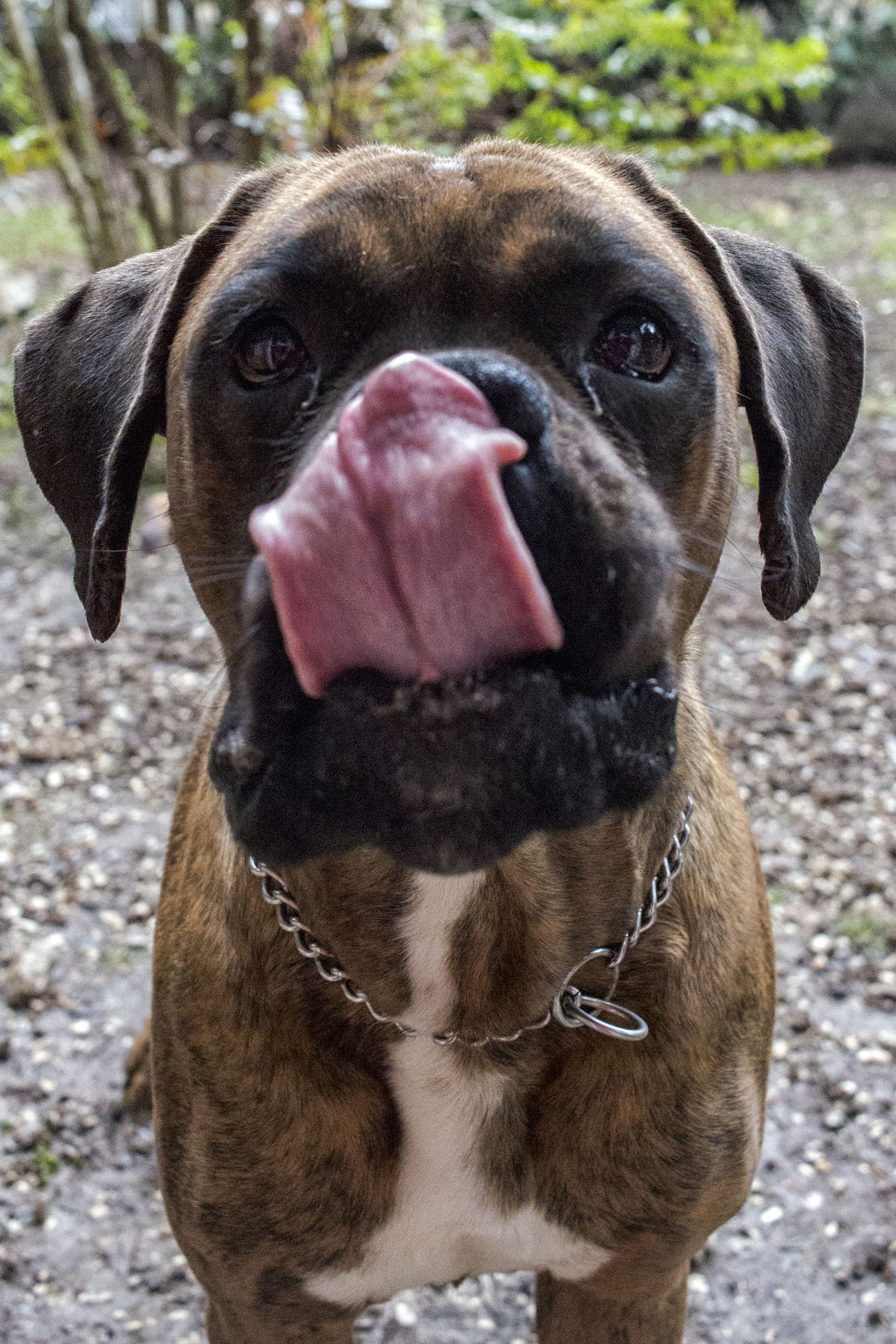 Canon EF-S 24mm F2.8 STM sample photo. Slurp! photography