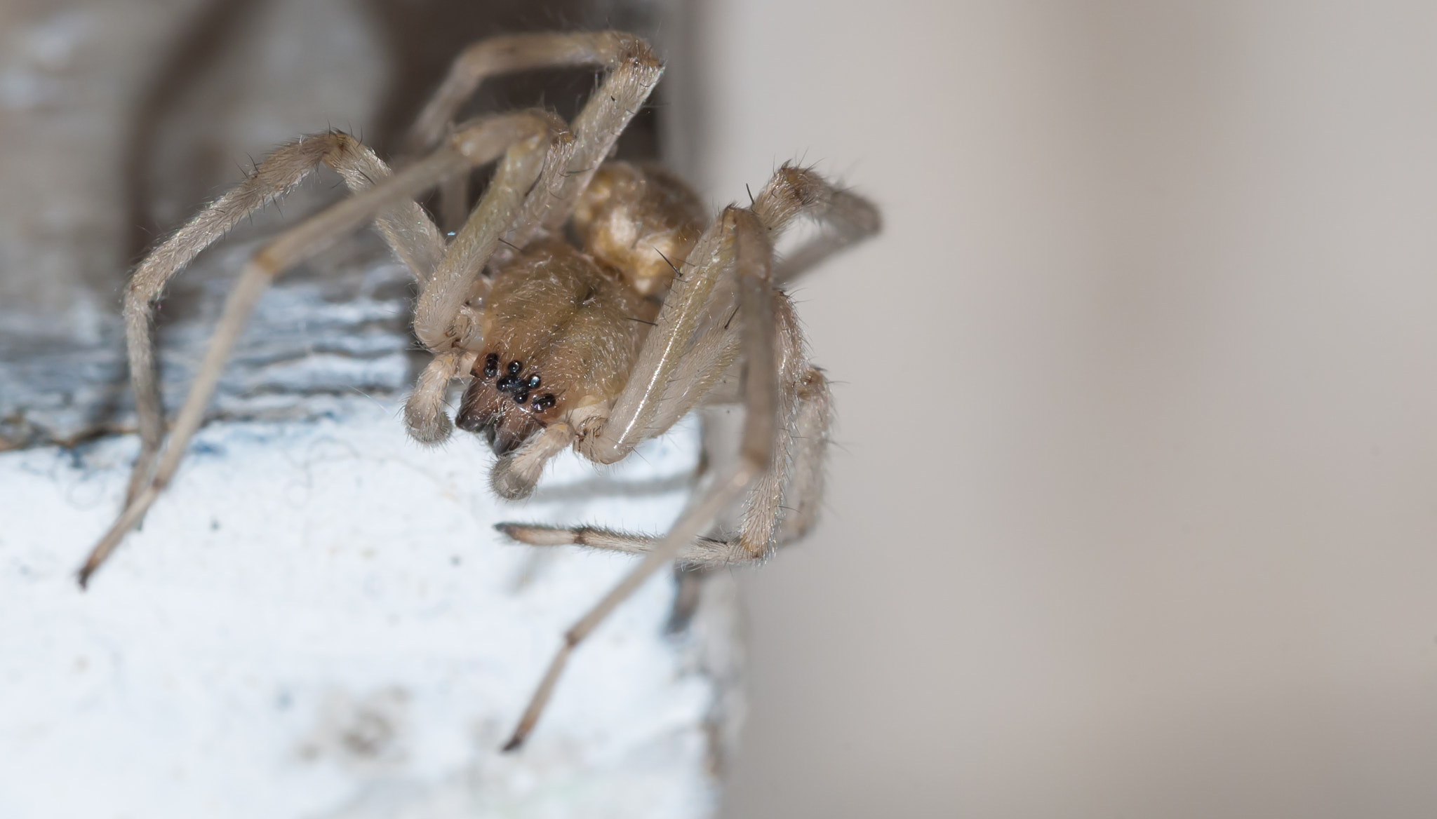 Nikon D3000 sample photo. I'll catch you photography