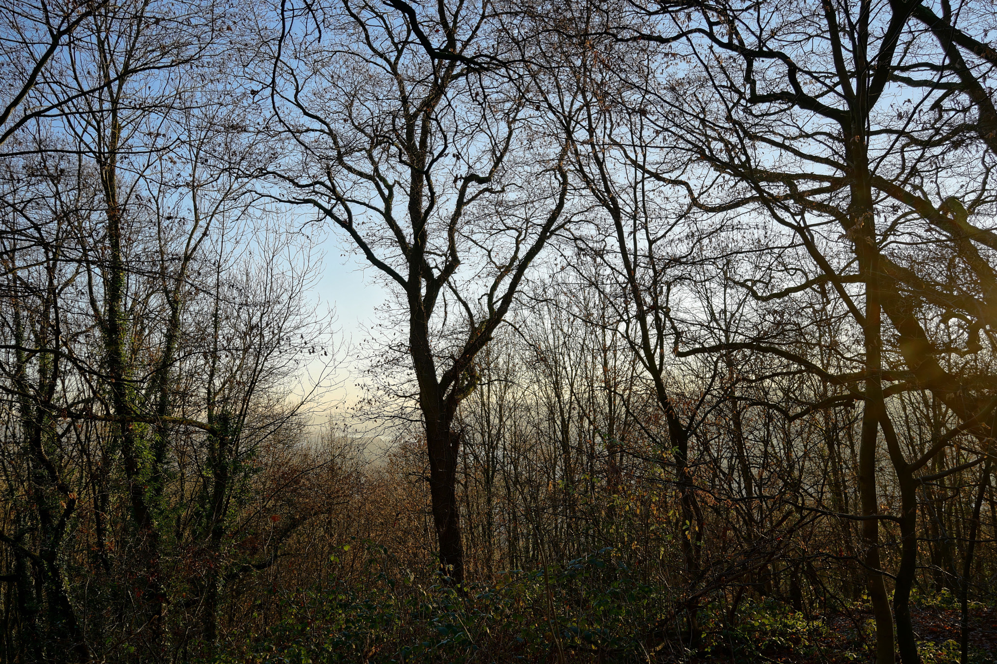 Sony Cyber-shot DSC-RX1 sample photo. Dxo photography