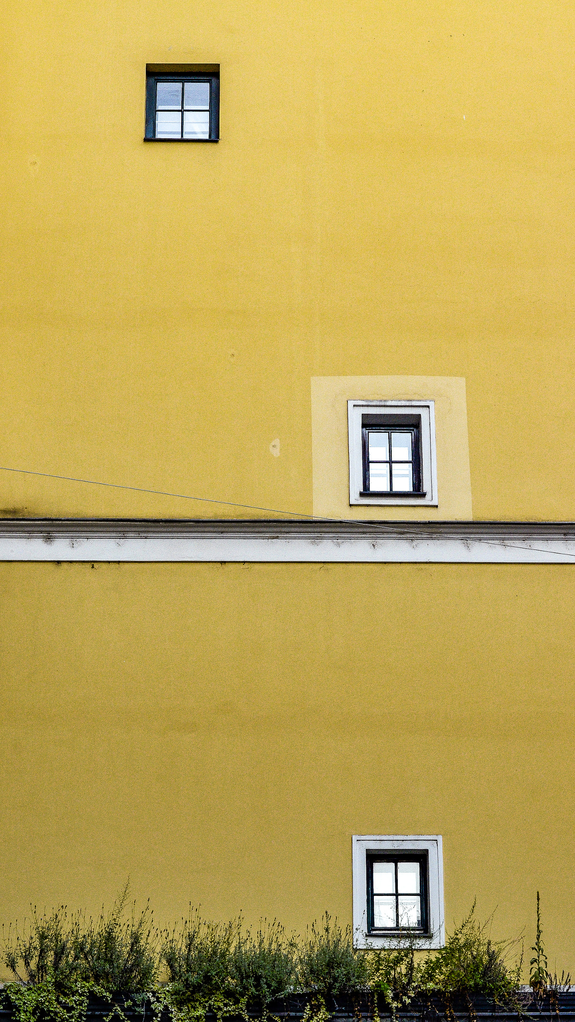 Nikon D7000 + Nikon AF-S Nikkor 50mm F1.4G sample photo. Yellow wall - vienna photography