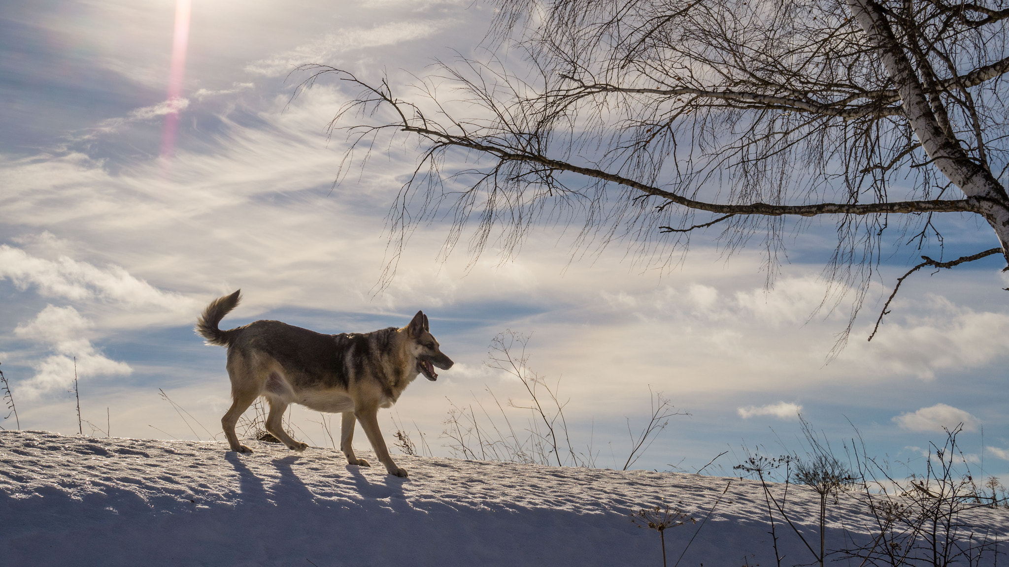 E 18-50mm F4-5.6 sample photo. с photography