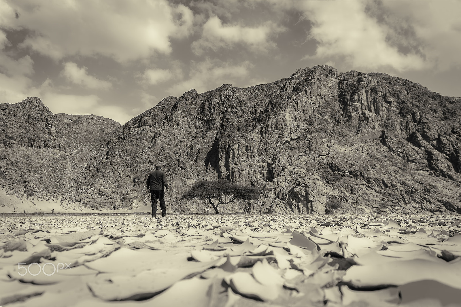 Nikon D7200 sample photo. Lonely man with lonely tree in amazing nature photography