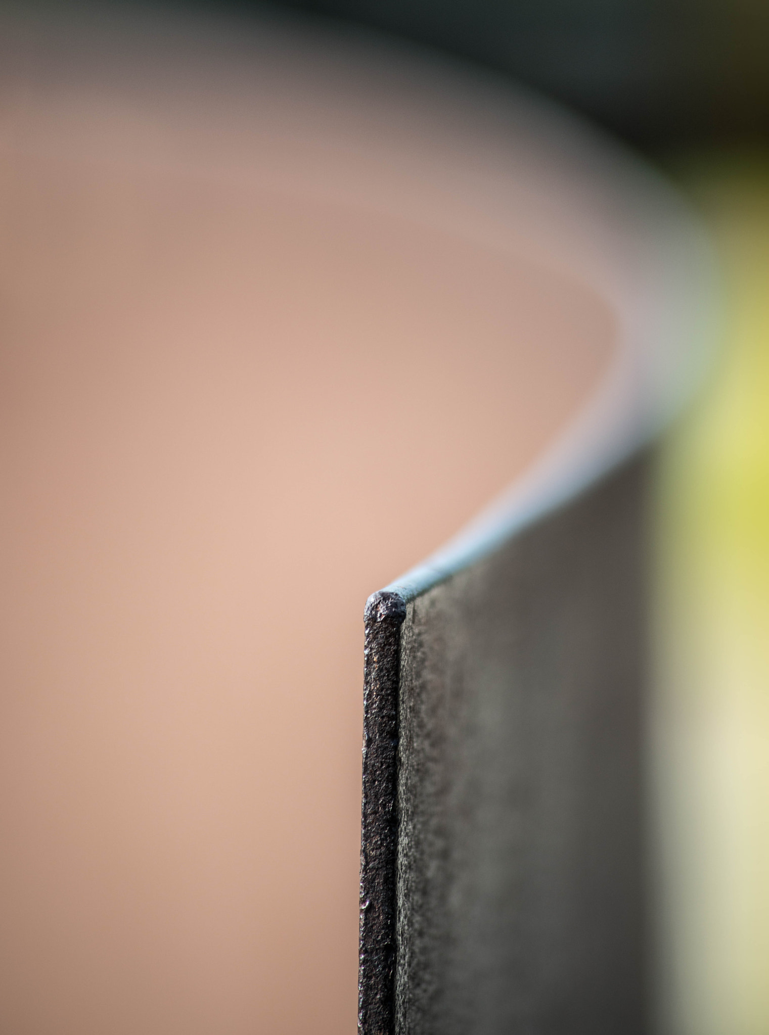 Sigma 70-300mm F4-5.6 APO DG Macro sample photo. Ibirapuera photography