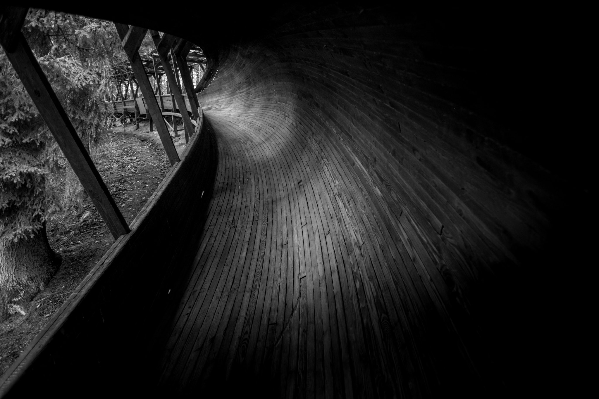 Nikon D5200 sample photo. Abandoned luge track going through the forest photography