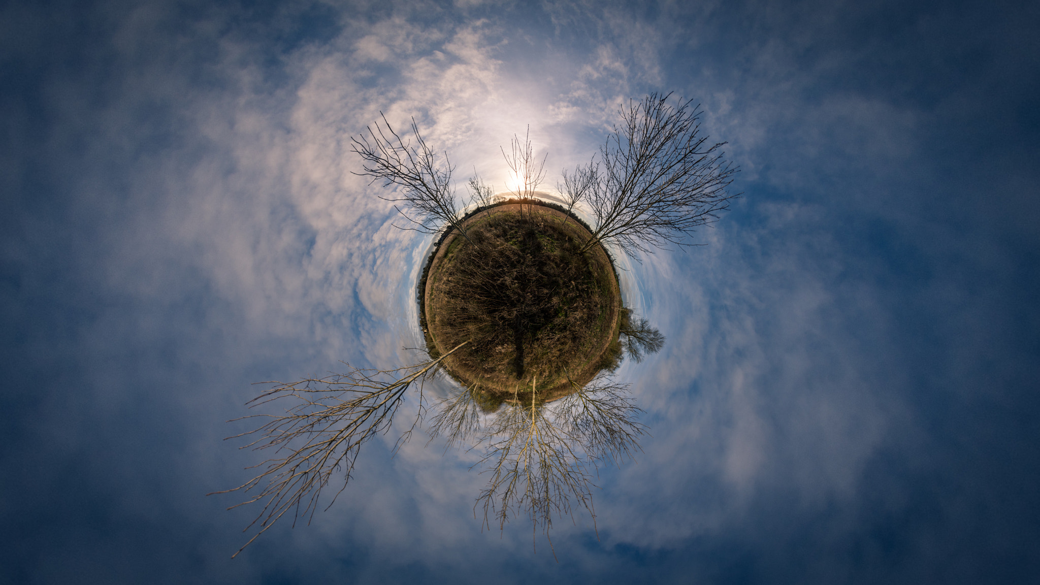 Nikon D7200 + Samyang 8mm F3.5 Aspherical IF MC Fisheye sample photo. Little planet trees and sun photography