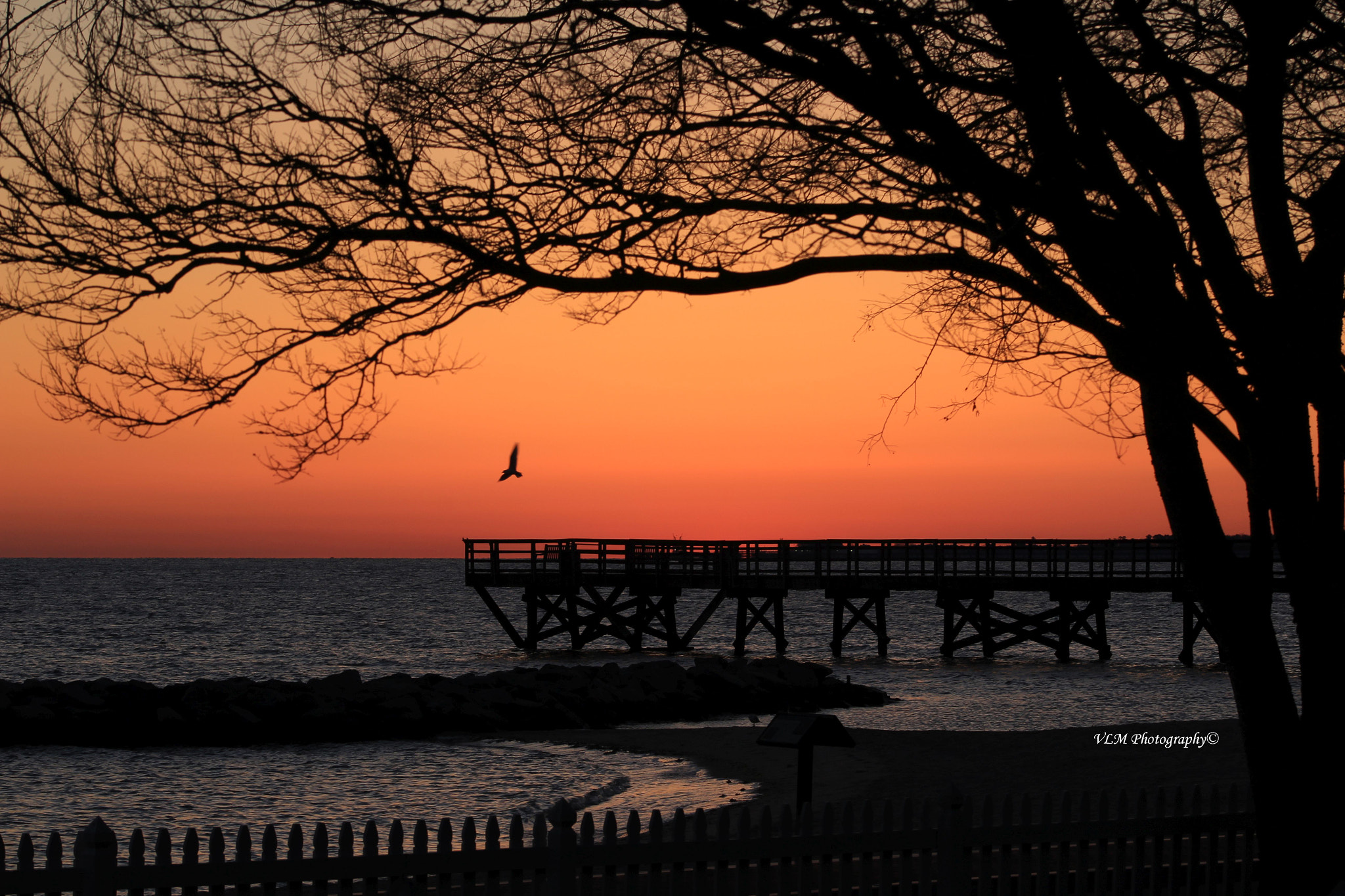 Canon EF 75-300mm f/4-5.6 USM sample photo. Orange photography