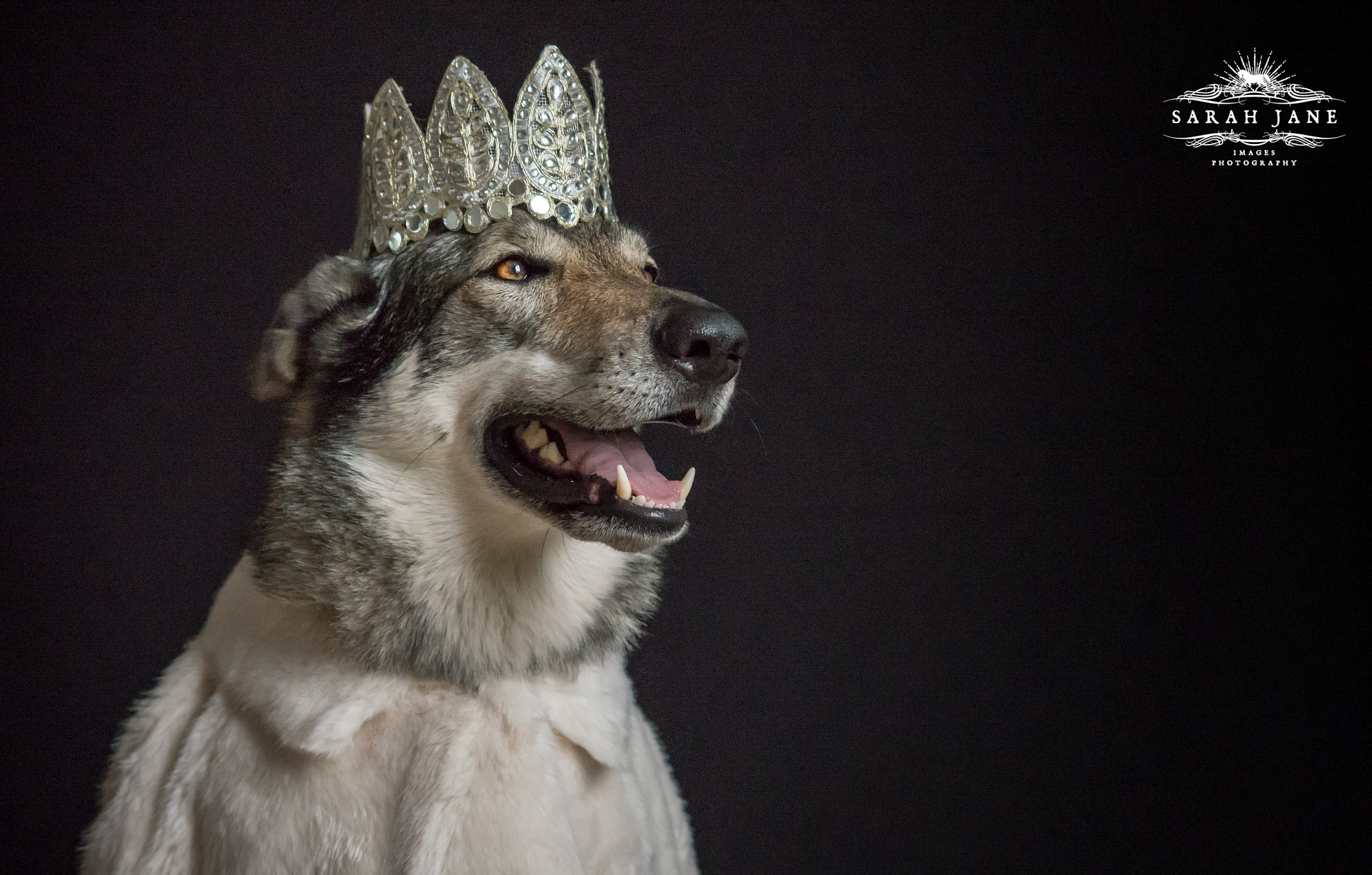 Sigma 70-300mm F4-5.6 APO DG Macro sample photo. Princess of carpathia photography