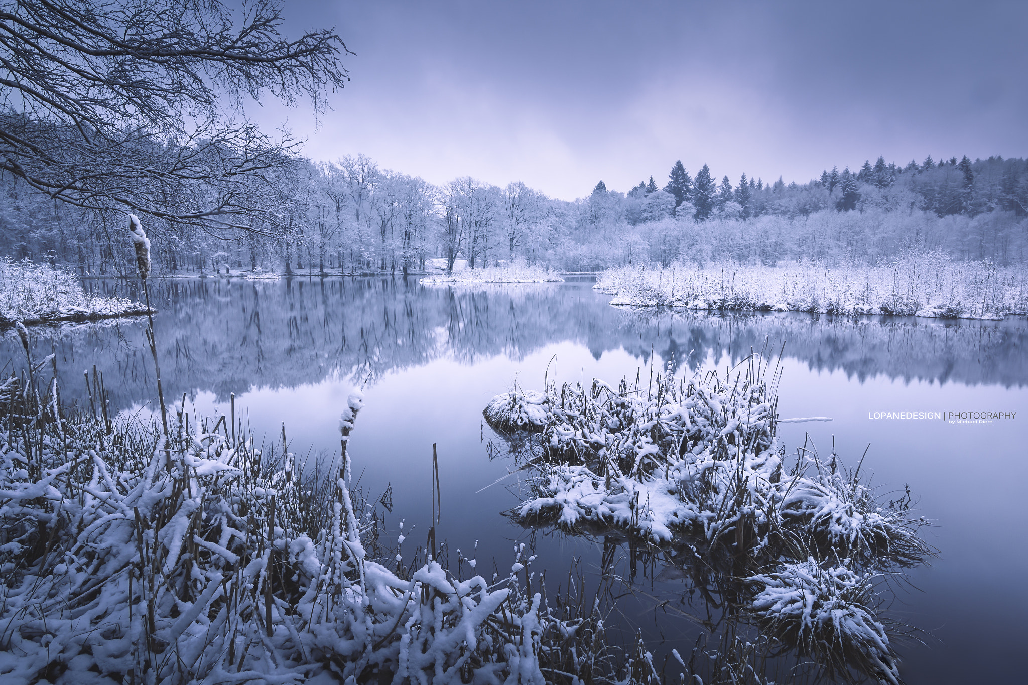 Canon EOS 60D sample photo. Albertsee photography
