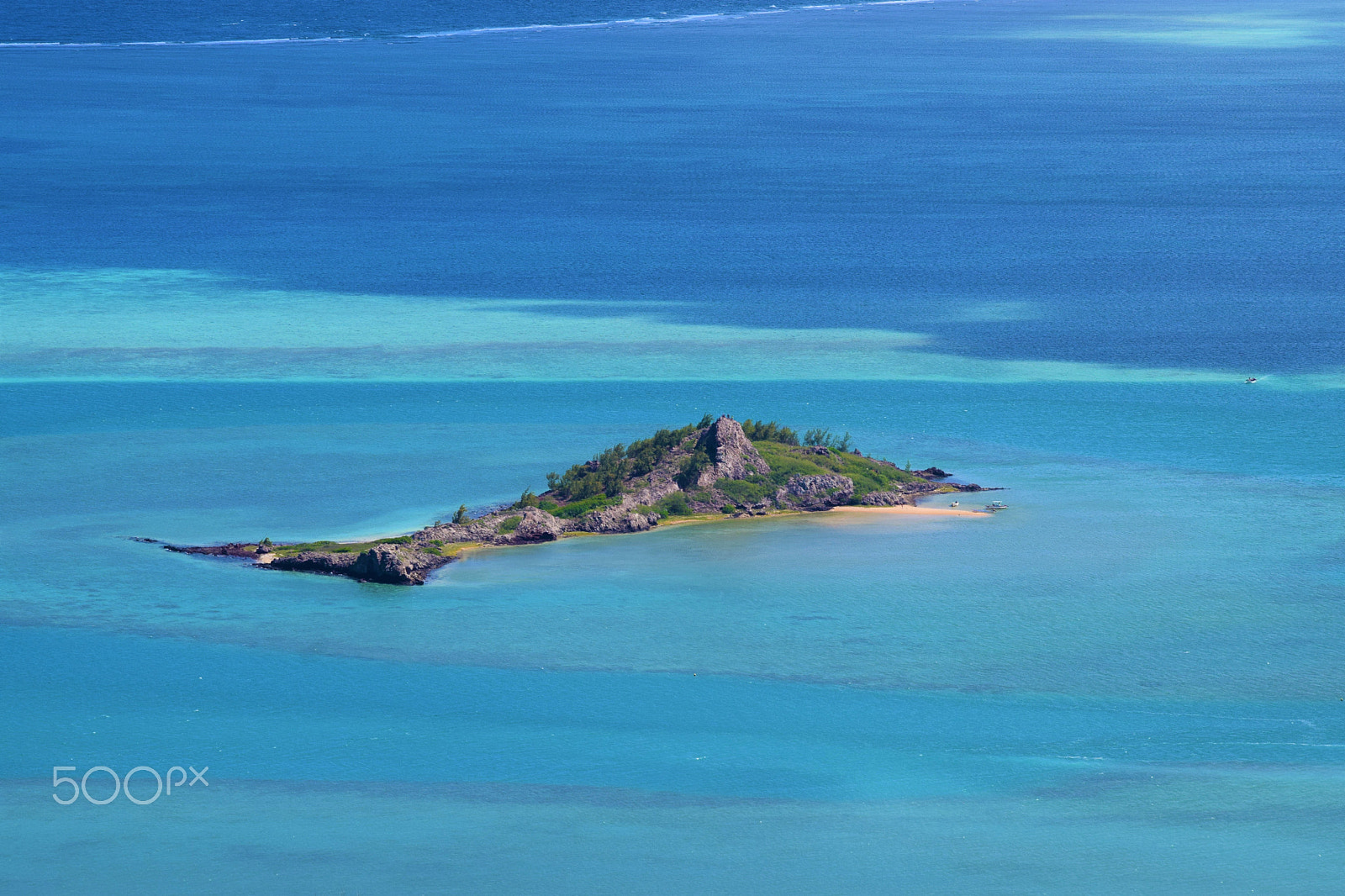 Sigma 70-300mm F4-5.6 APO DG Macro sample photo. Rodrigues fish island photography