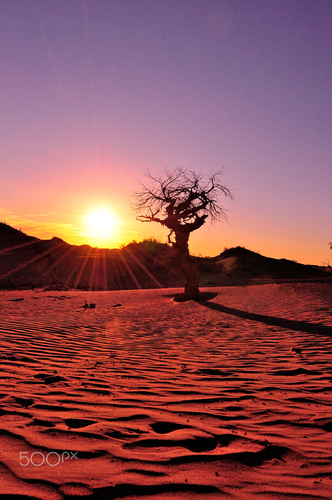 Nikon D90 sample photo. Desert sunset photography