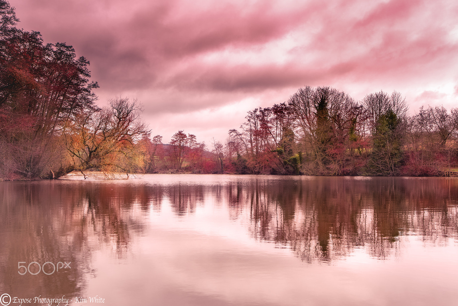ZEISS Distagon T* 21mm F2.8 sample photo. Witley court lake photography