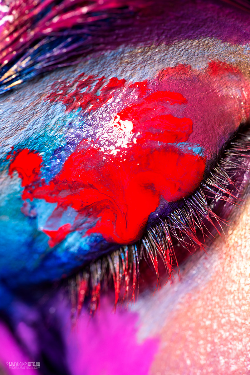 Sigma 150mm F2.8 EX DG Macro HSM sample photo. Colours photography