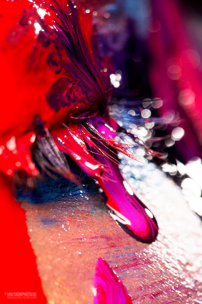 Sigma 150mm F2.8 EX DG Macro HSM sample photo. Colours photography